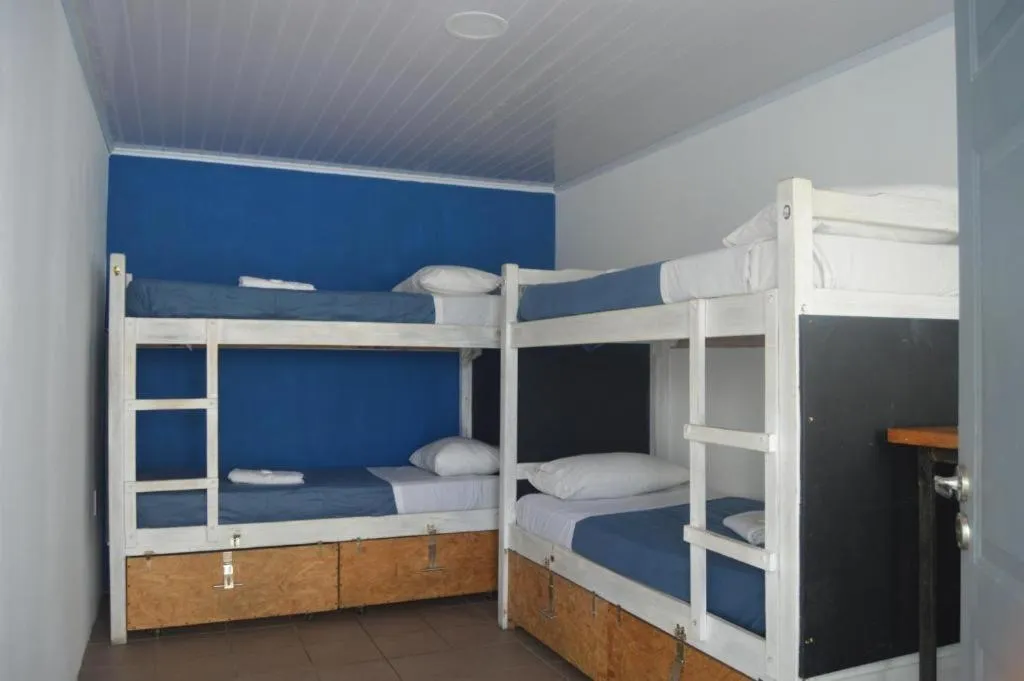 Bed in VIAJERO Posada & Hostel Punta del este
