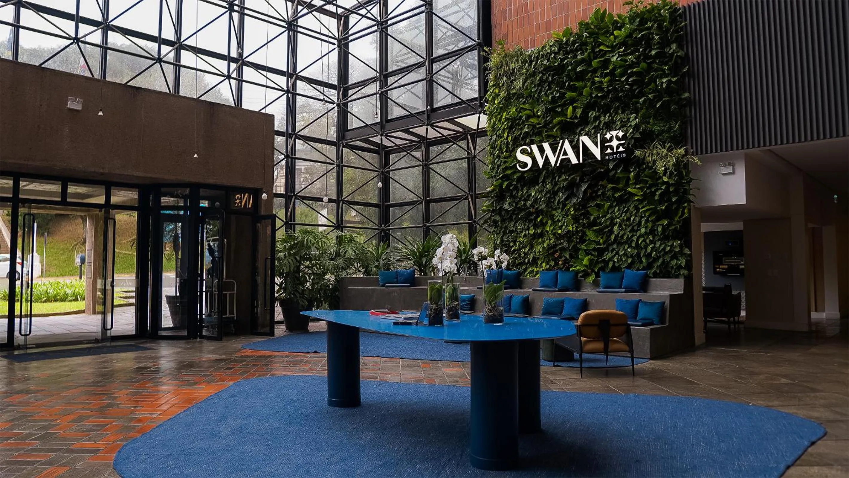 Swan Novo Hamburgo