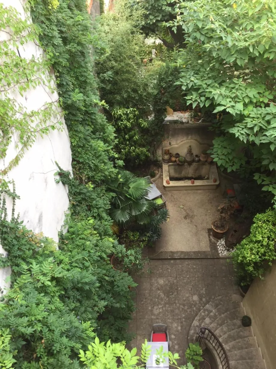 Garden in Hôtel Particulier Le 28 - Spa & Art Luxury Design by Alain Ducasse