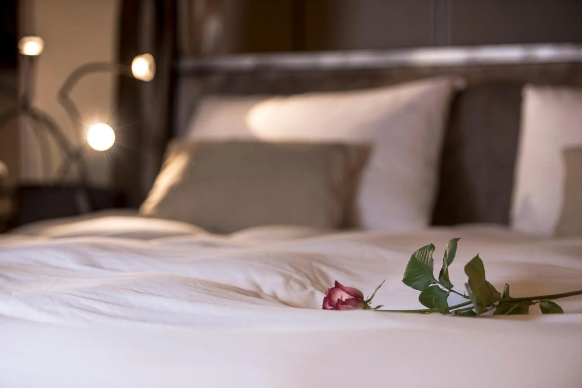 Decorative detail, Bed in Hôtel Particulier Le 28 - Spa & Art Luxury Design by Alain Ducasse