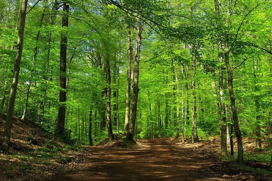 Les Charmois - Spa possible sur un autre site
