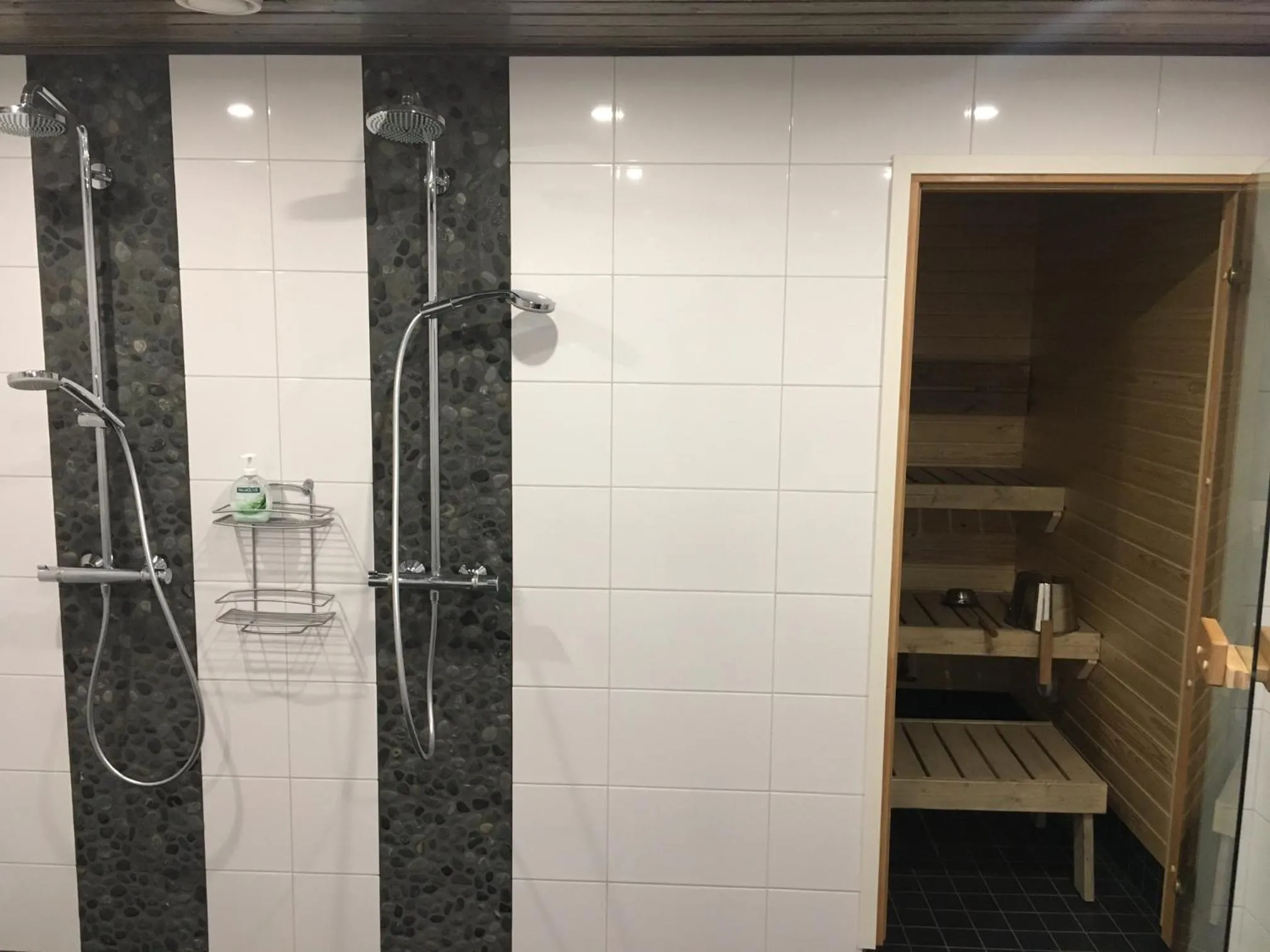 Shower in Willa Pihlaja