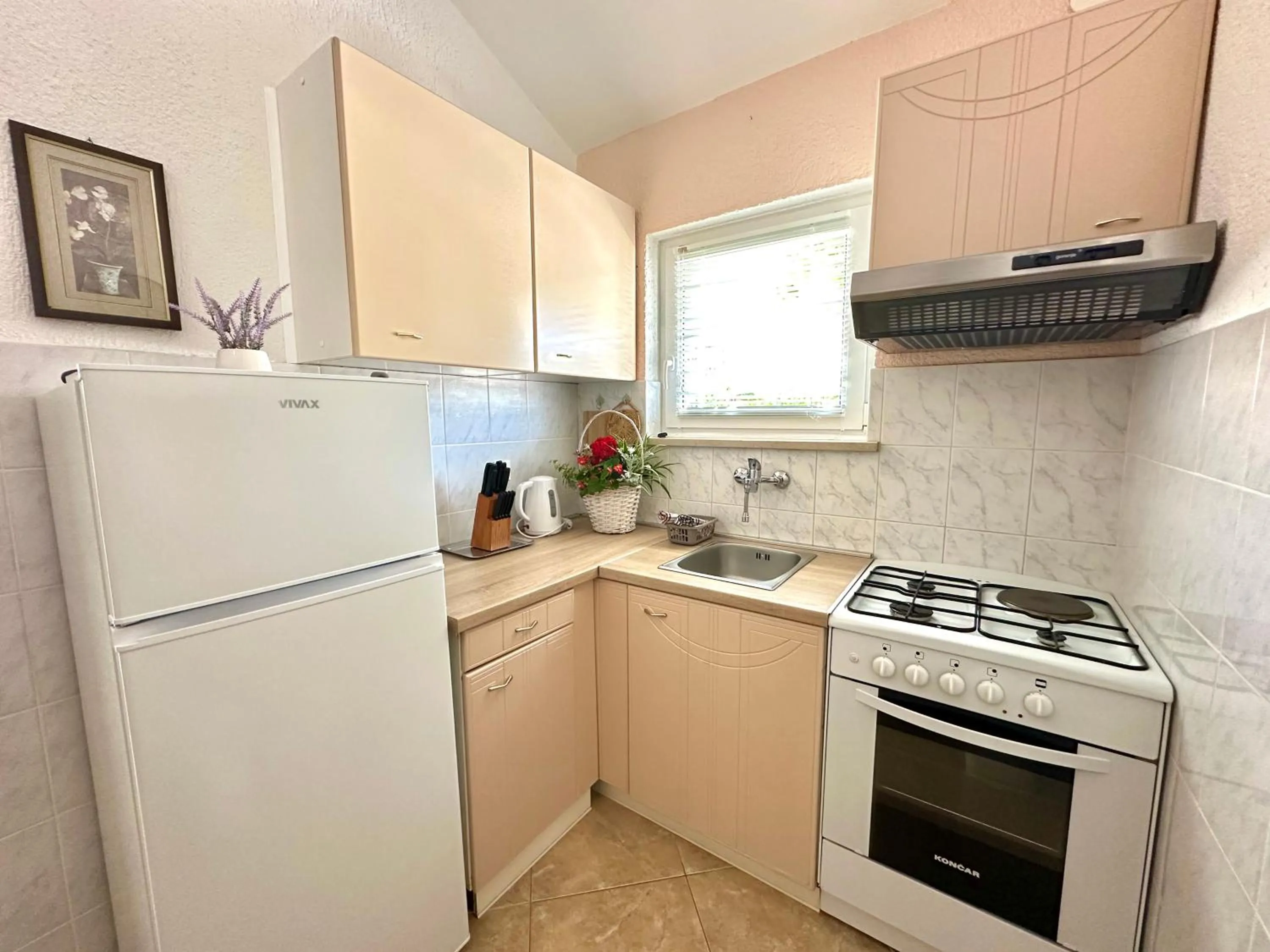 Apartment Ivica