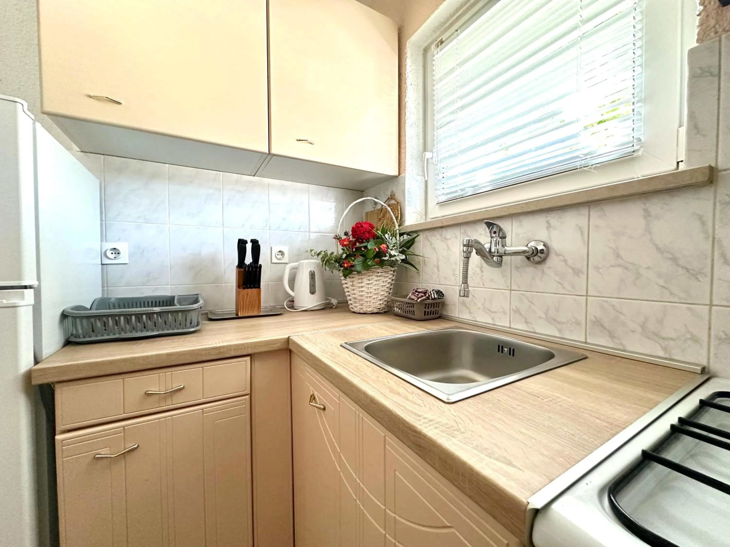 Apartment Ivica