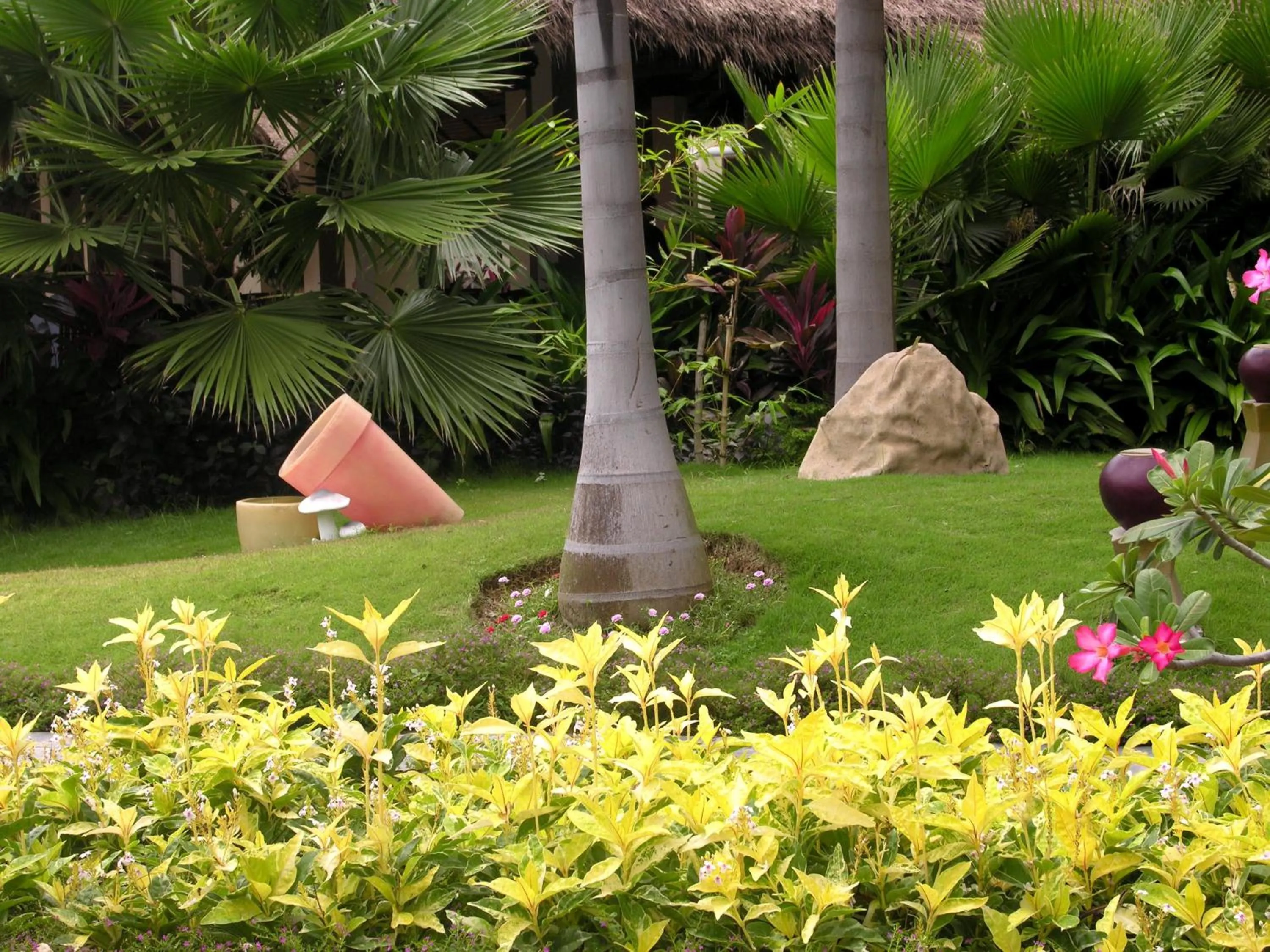 Garden in TIEN DAT MUI NE Resort & Spa