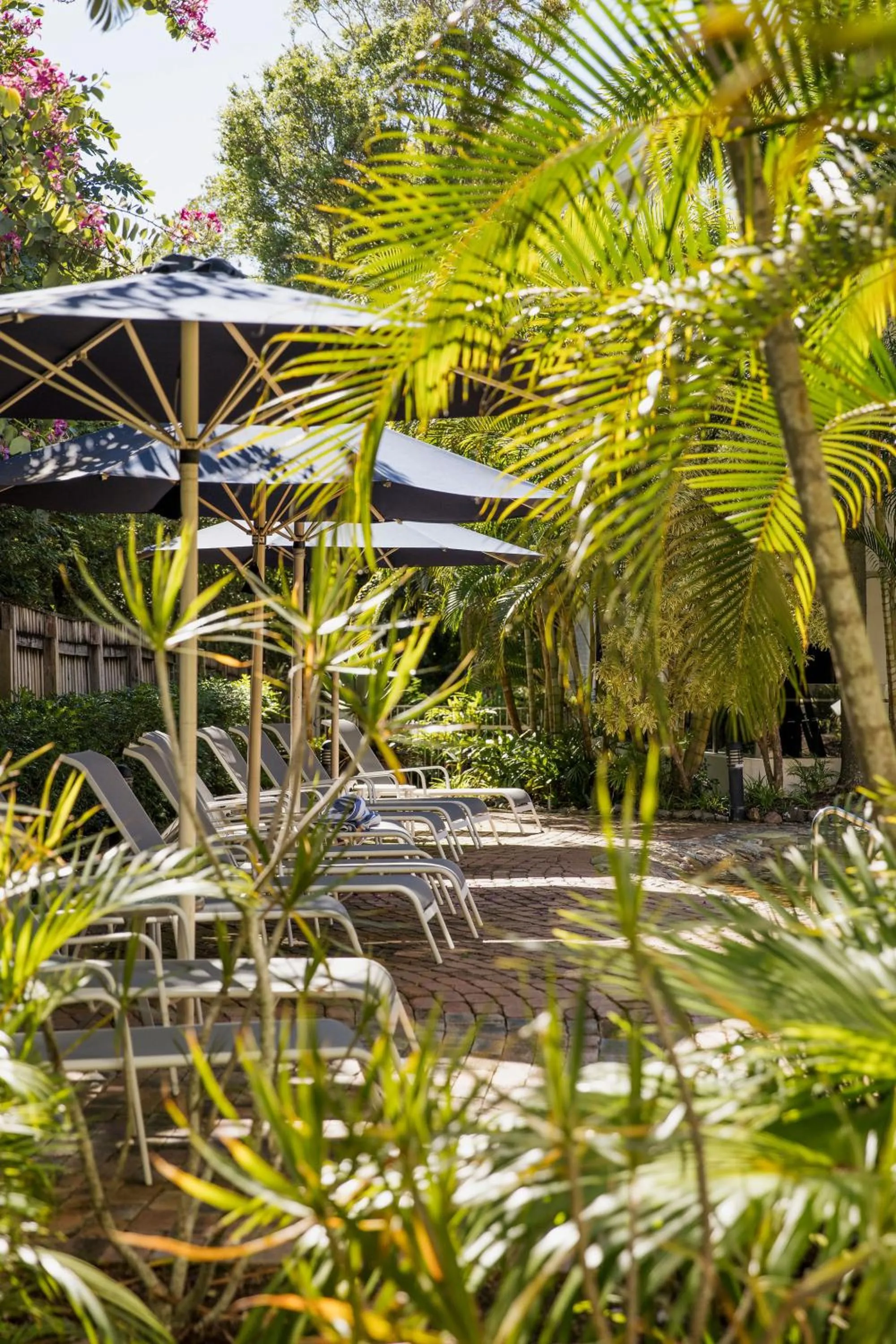 sunbed in Noosa International Resort