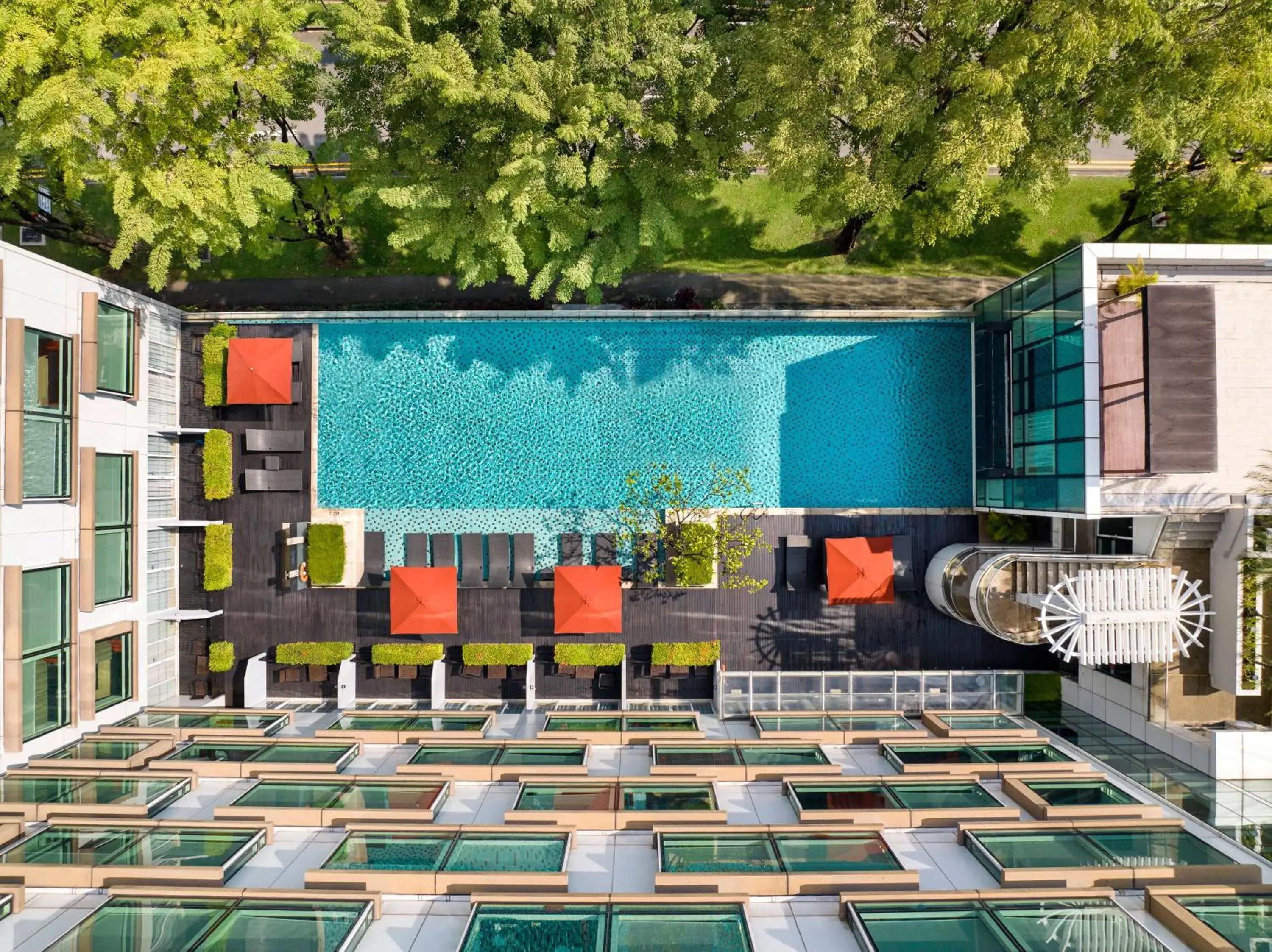 Swimming pool in Park Regis by Prince Singapore - Newly Renovated Swimming pool in Park Regis by Prince Singapore - Newly Renovated