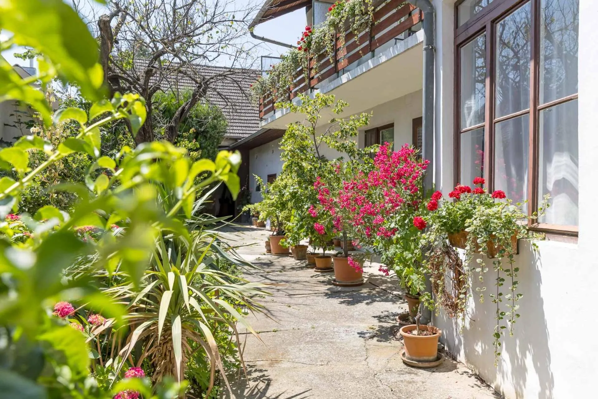 Property building in Ferienherbergen S & J Zeisz