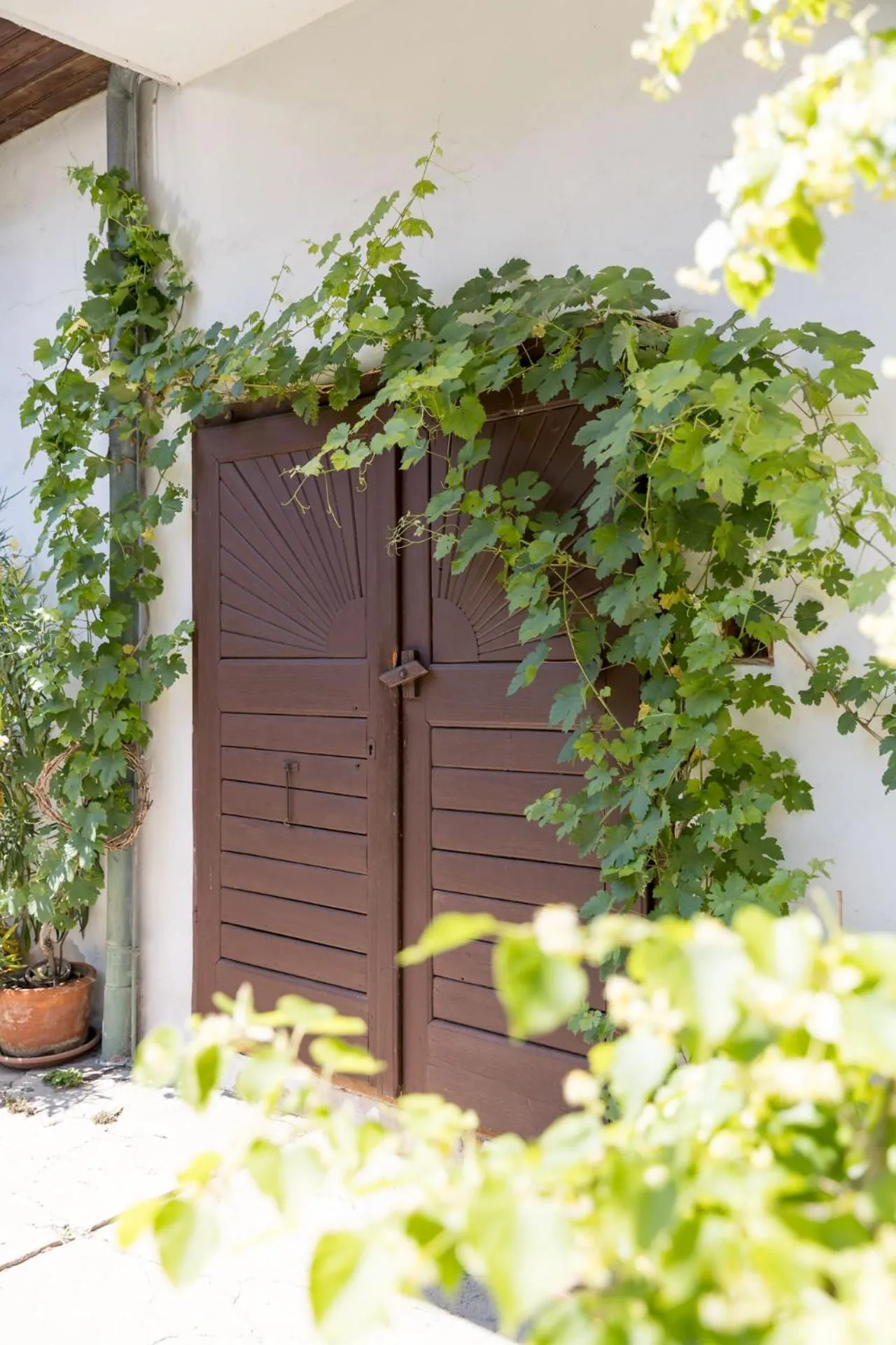 Property building in Ferienherbergen S & J Zeisz