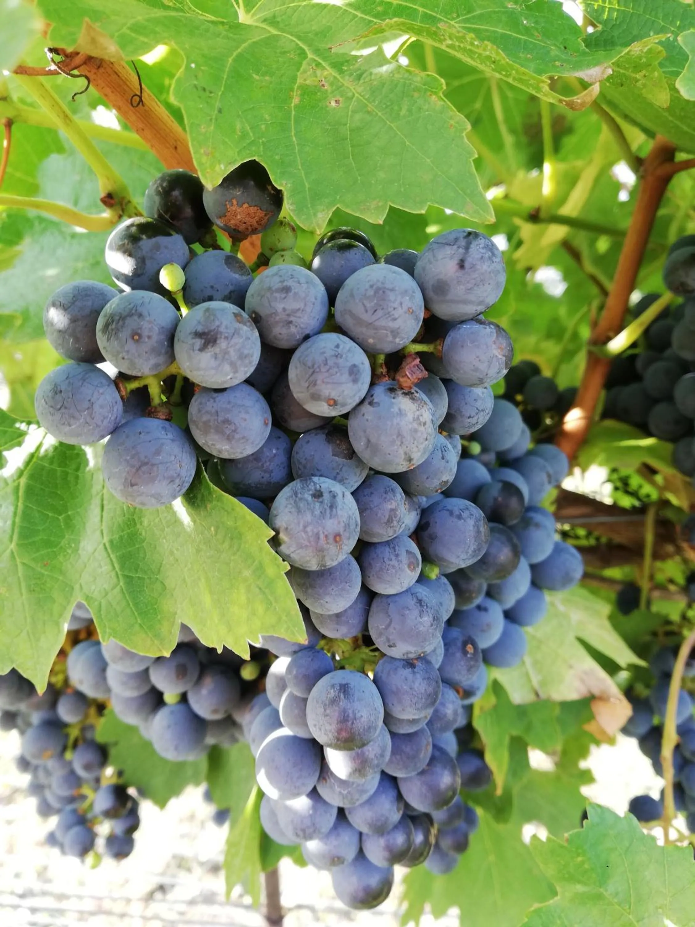 Autumn in Ferienherbergen S & J Zeisz