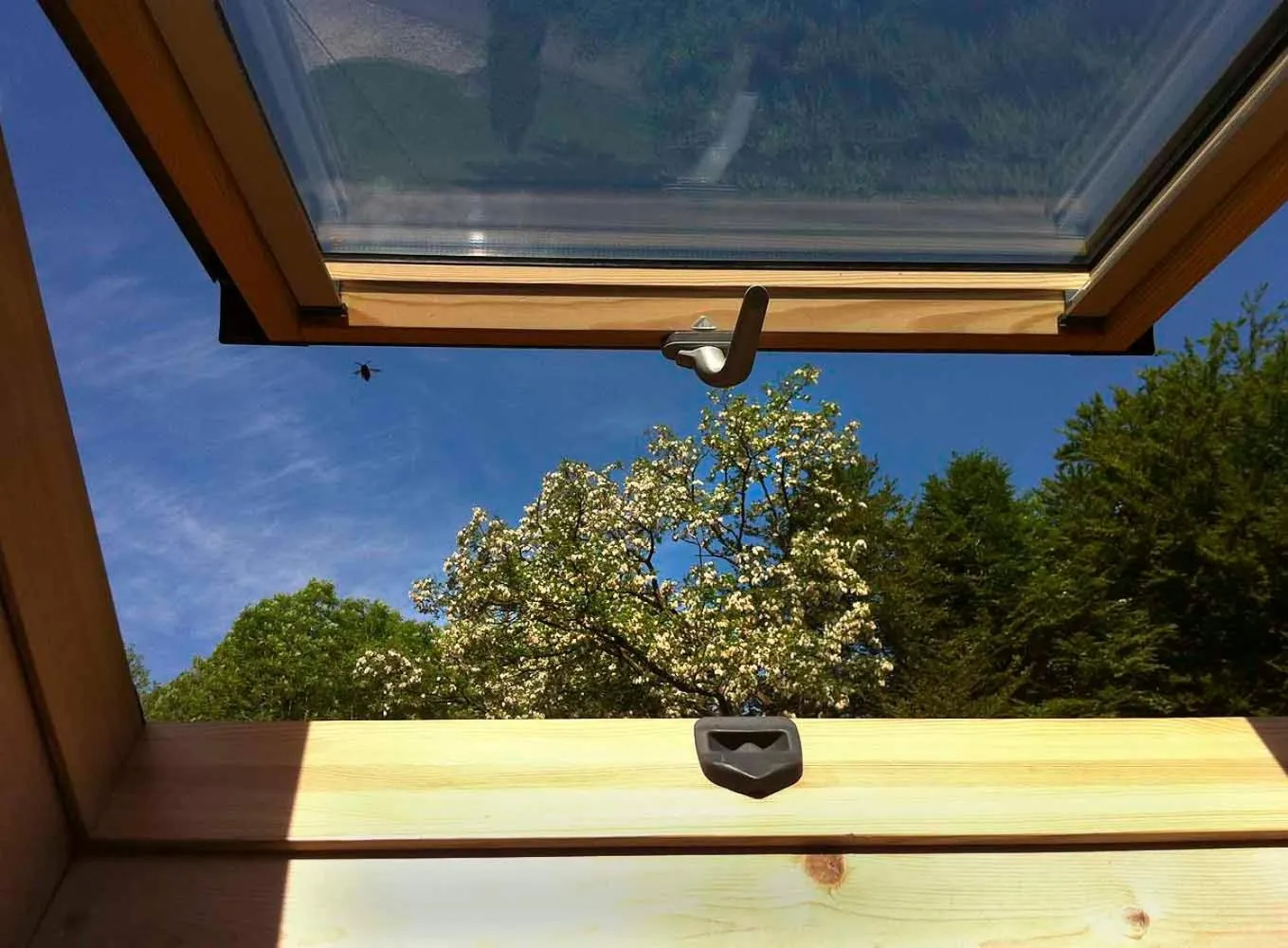 View (from property/room) in Pas de Deux