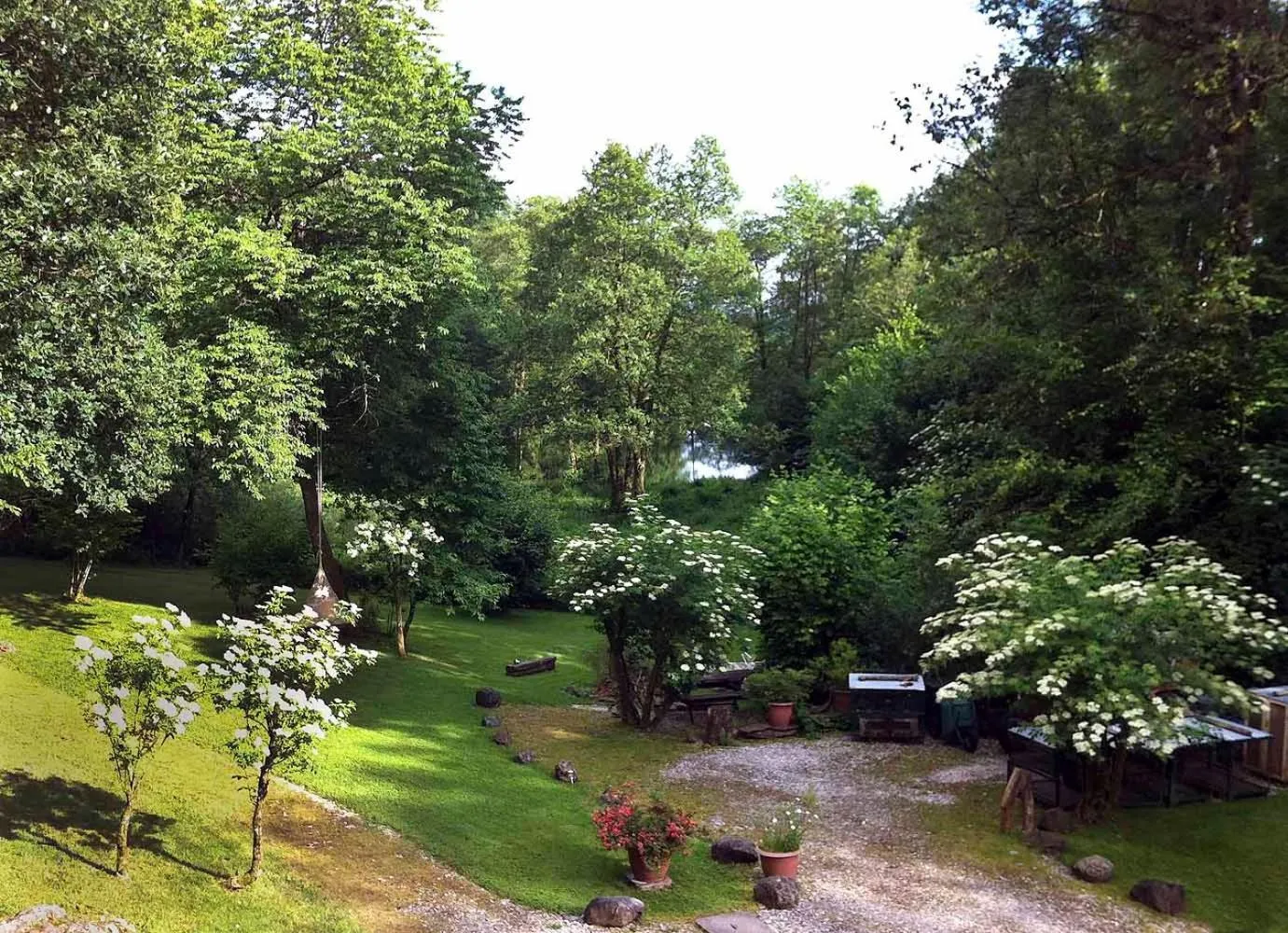 Garden in Pas de Deux
