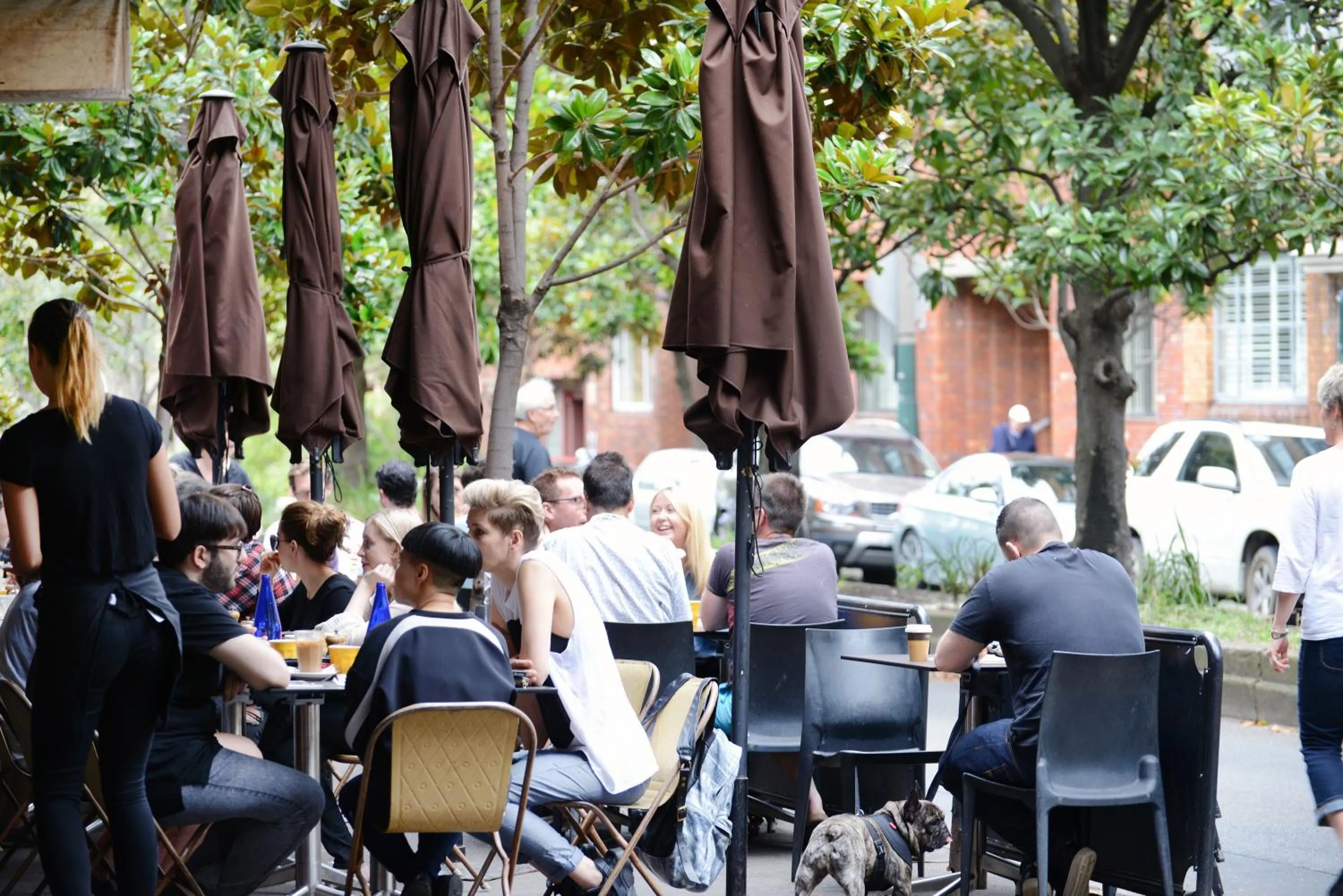 Restaurant/places to eat in The Maisonette