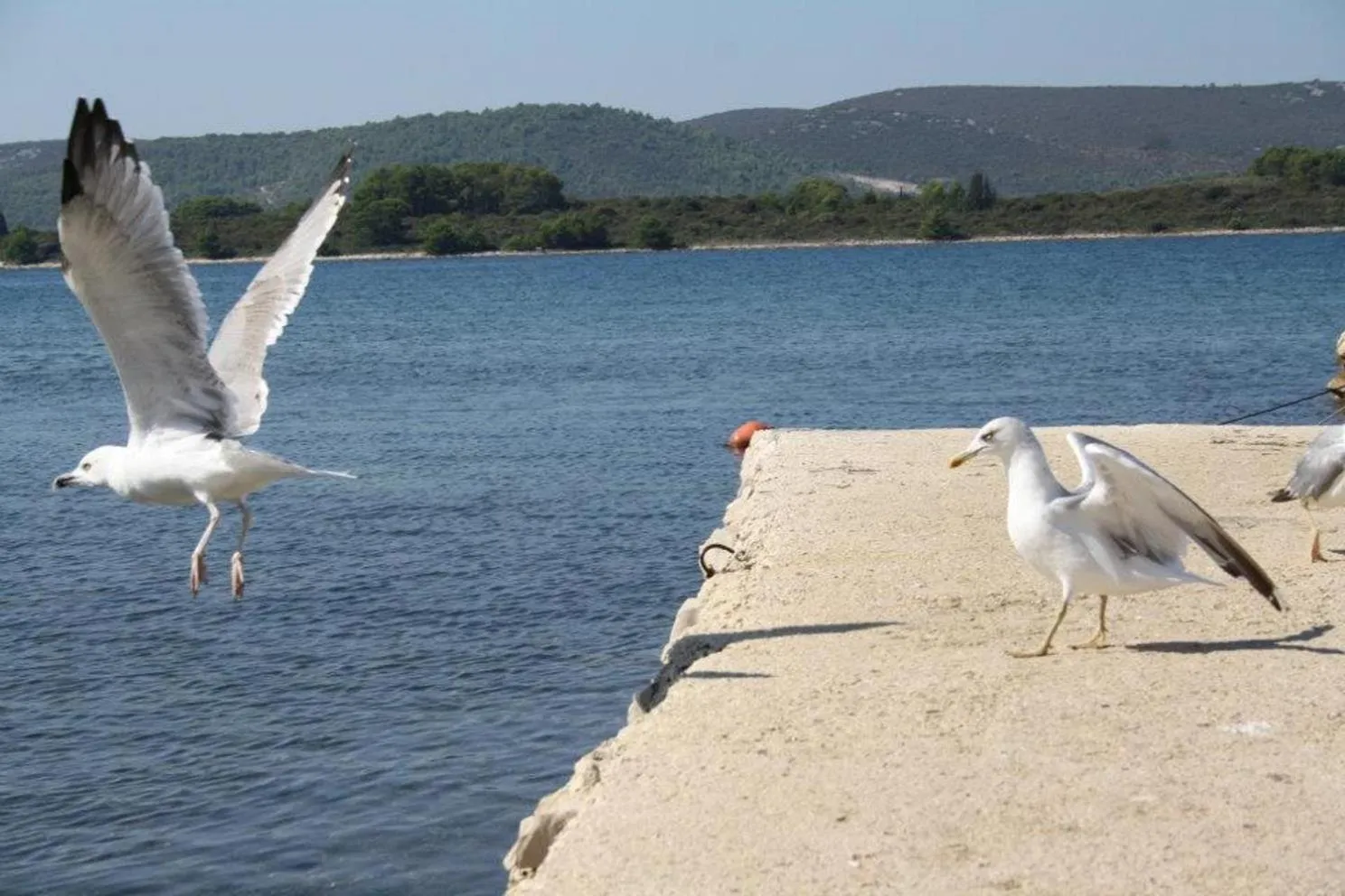 Beach in Apartments and pansion M&R