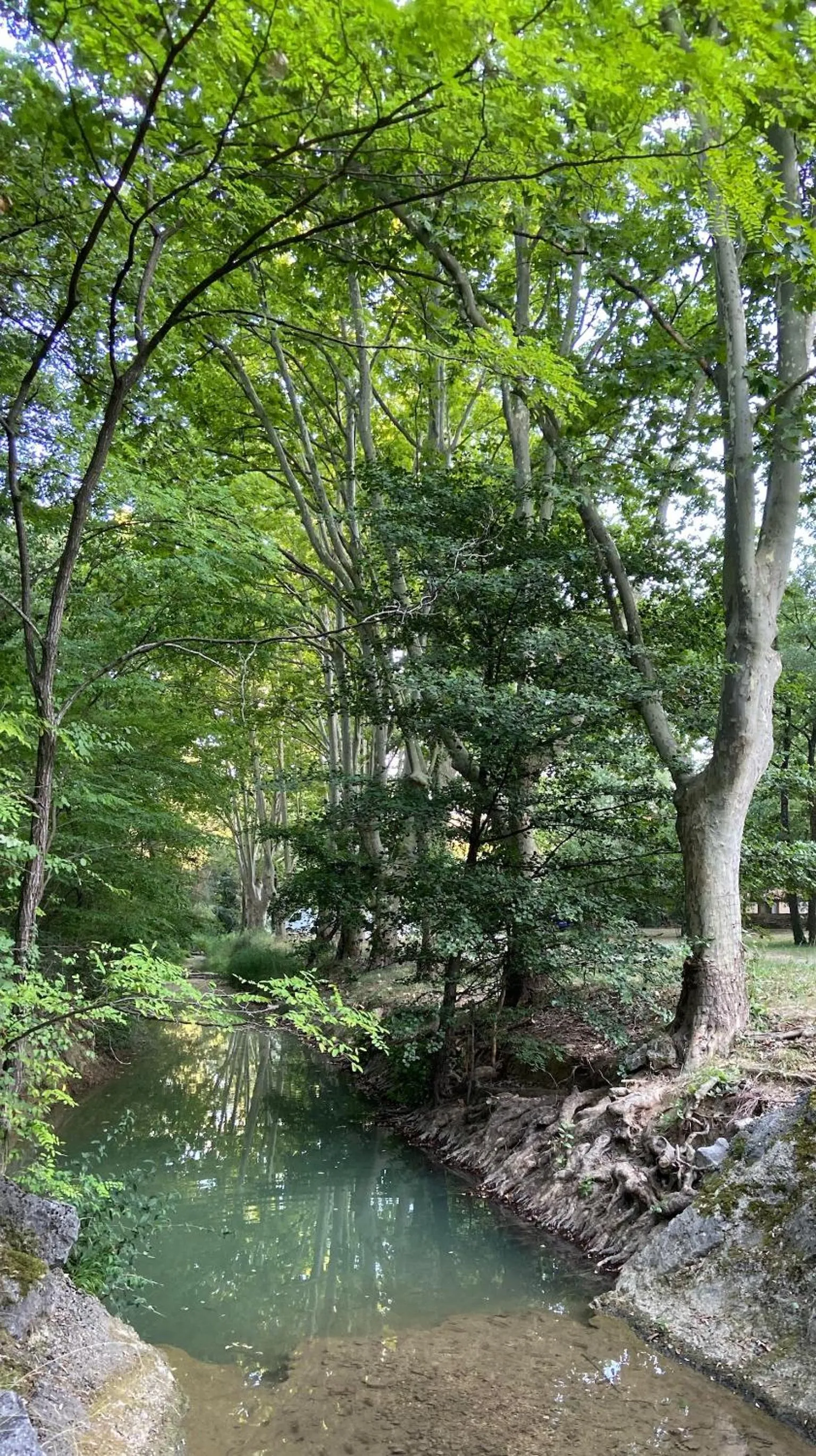 Garden in Hôtellerie Notre Dame de Lumières
