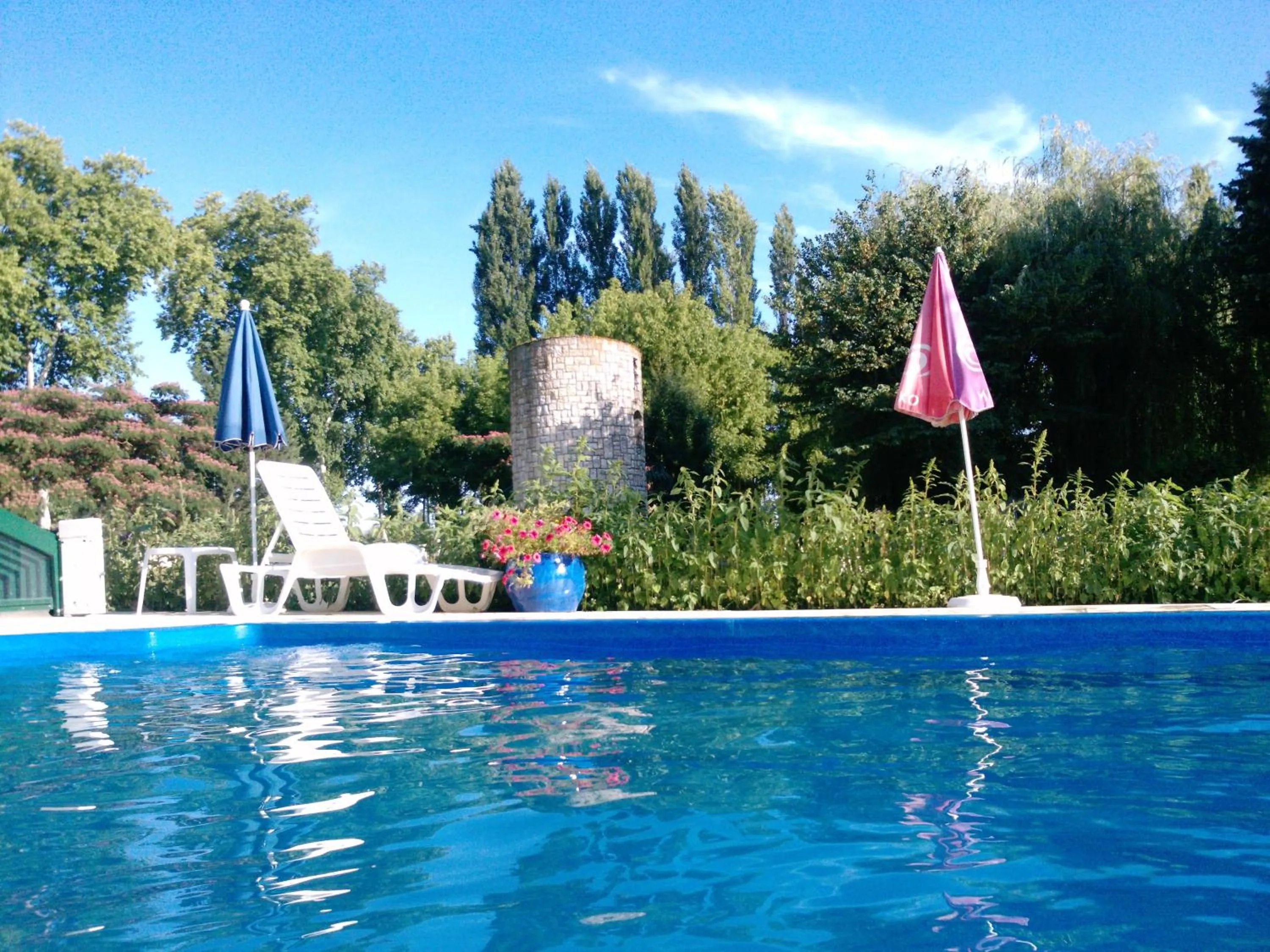 Swimming pool in Logis Hôtel & Restaurant Le Fleurance
