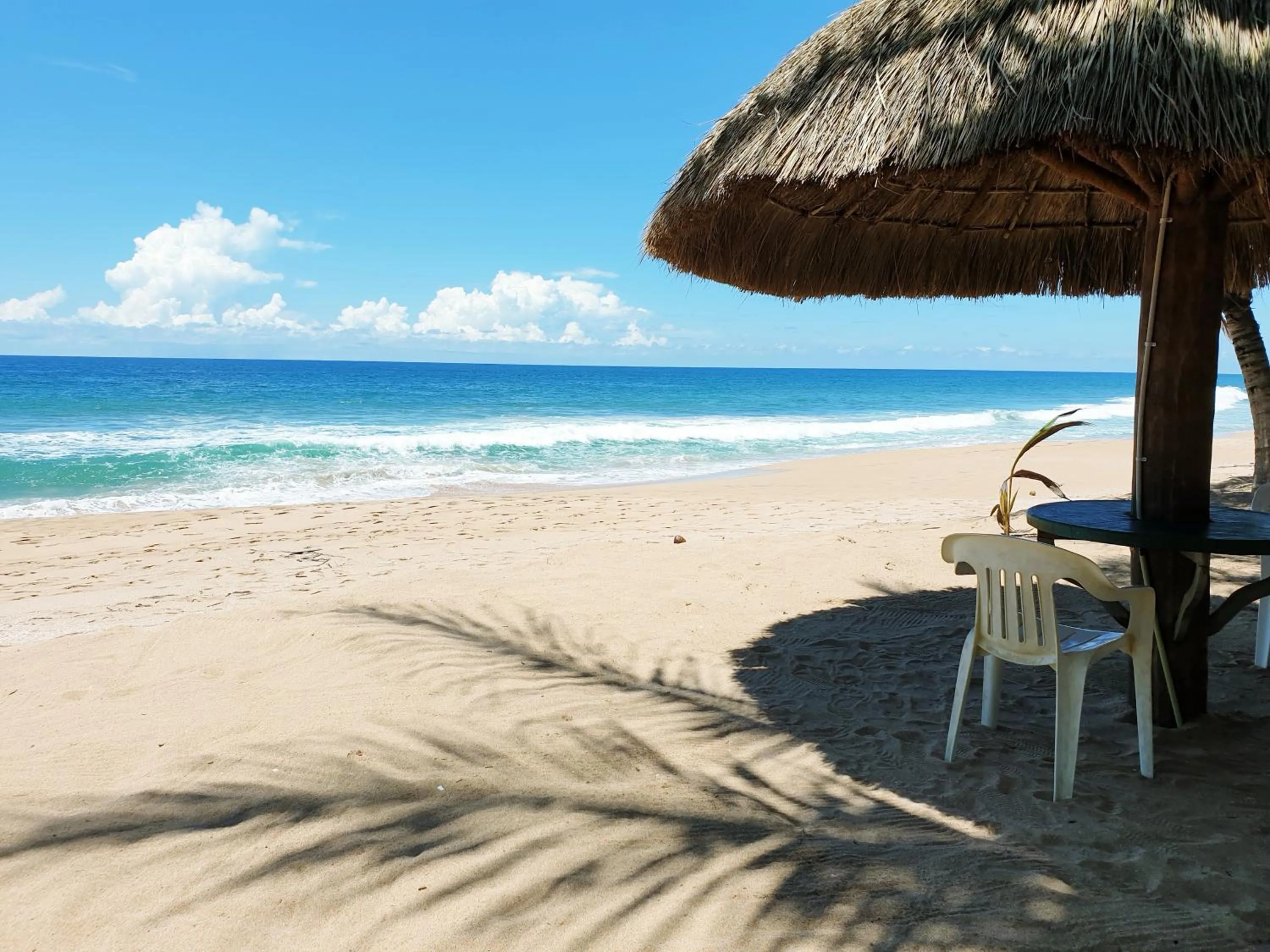 Sea view in Oasey Beach Hotel