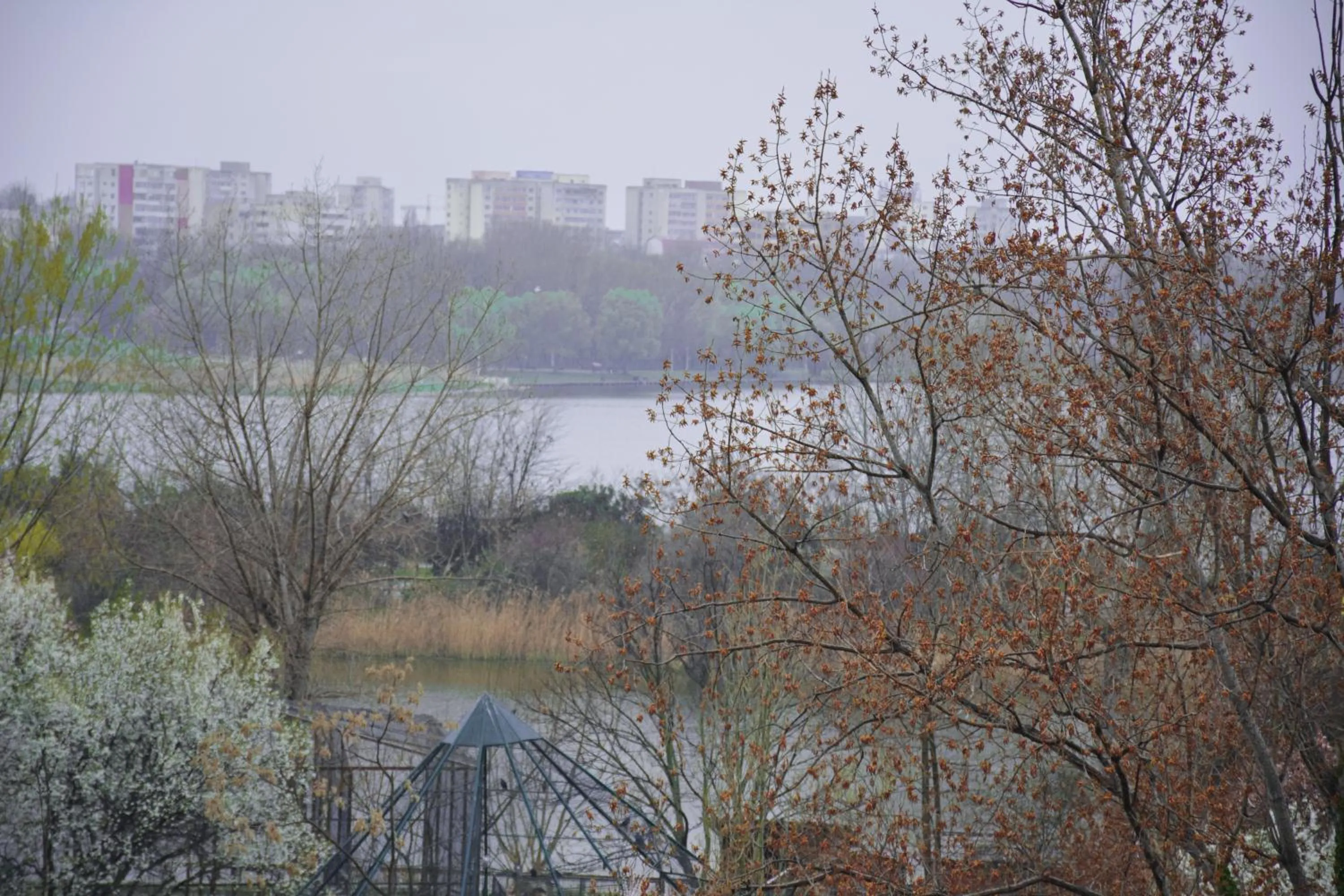 Bird's eye view in Golden Rose Residence