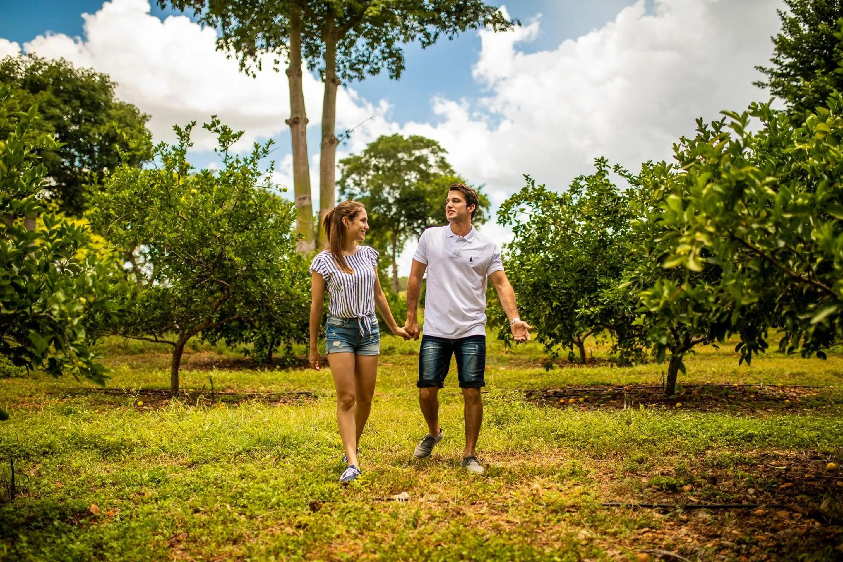 Natural landscape in The Lodge At Uxmal