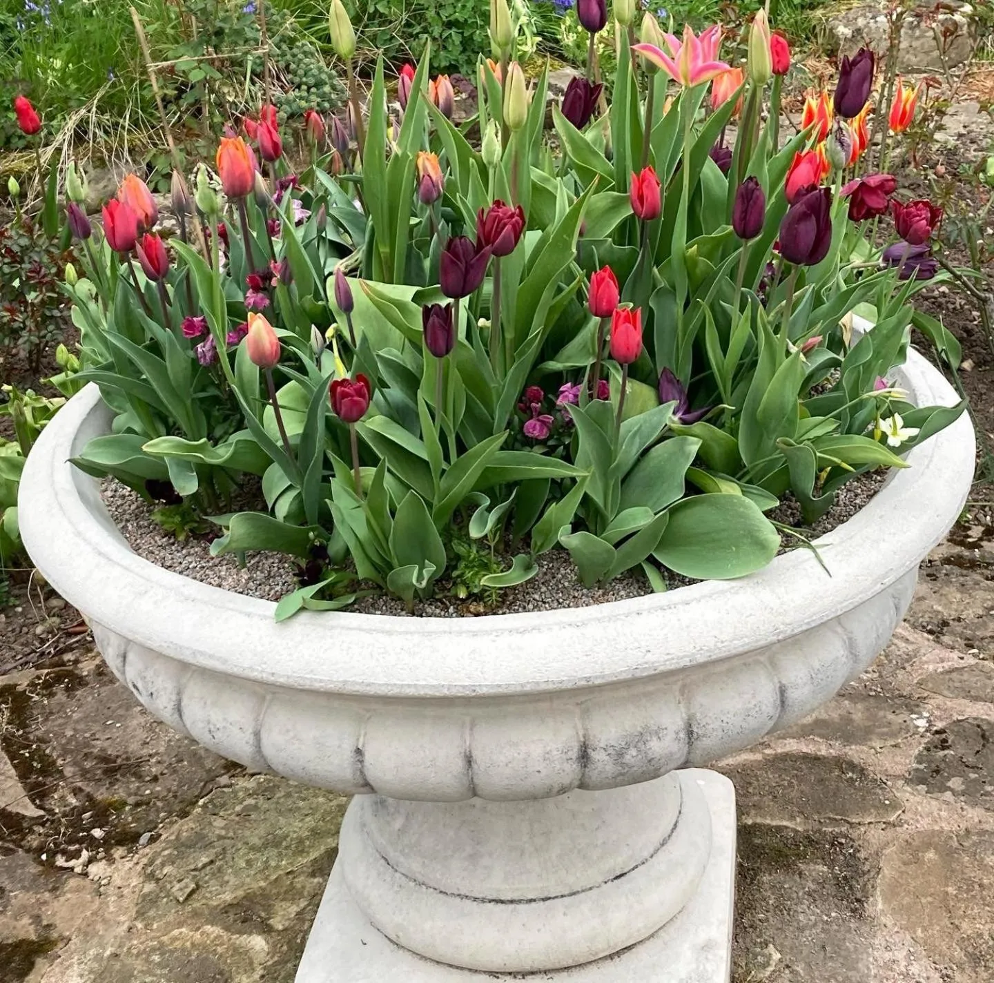 Garden in Bedrule Old Manse B&B