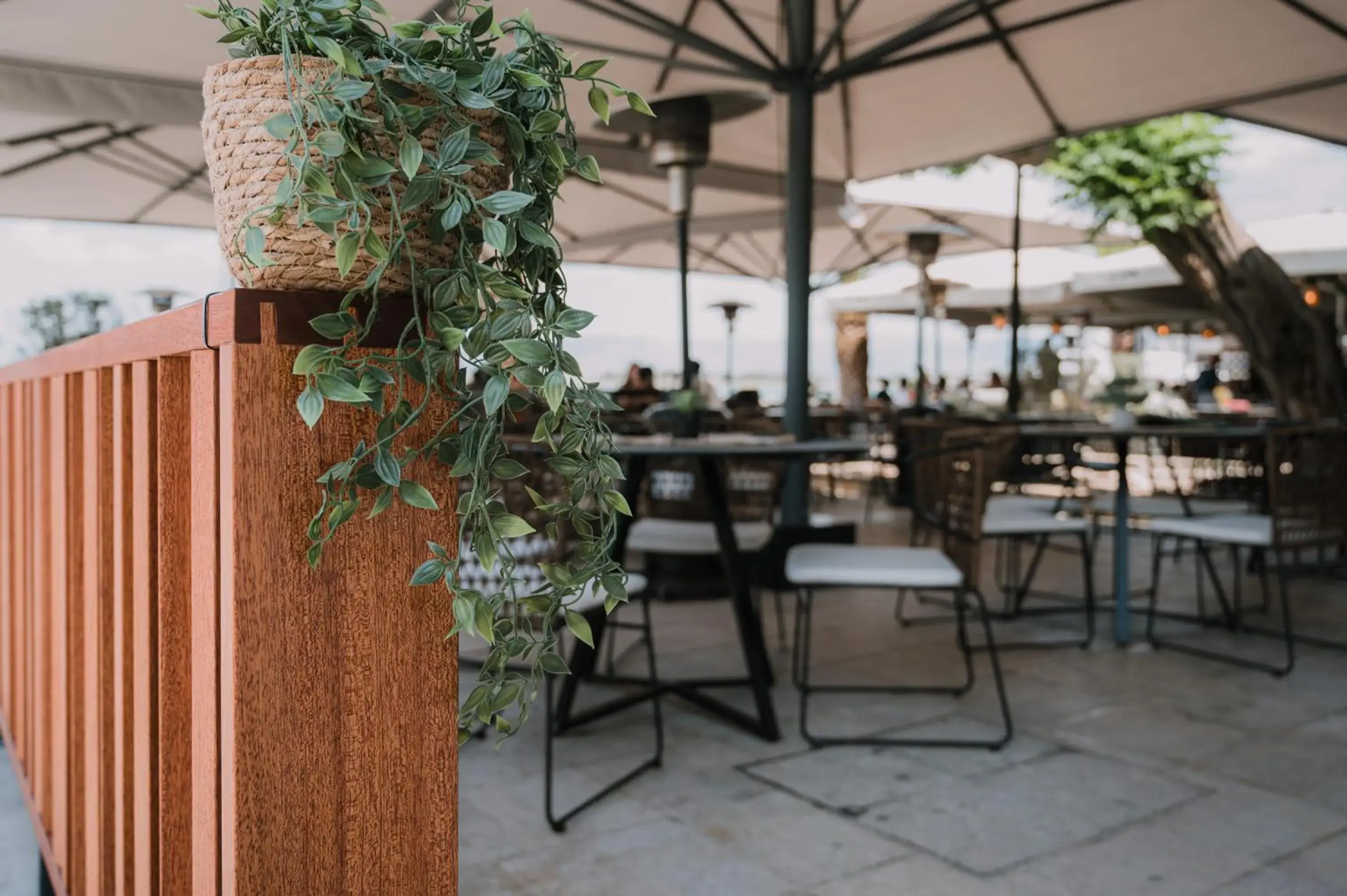 Restaurant/places to eat in Agamemnon Hotel Restaurant/places to eat in Agamemnon Hotel