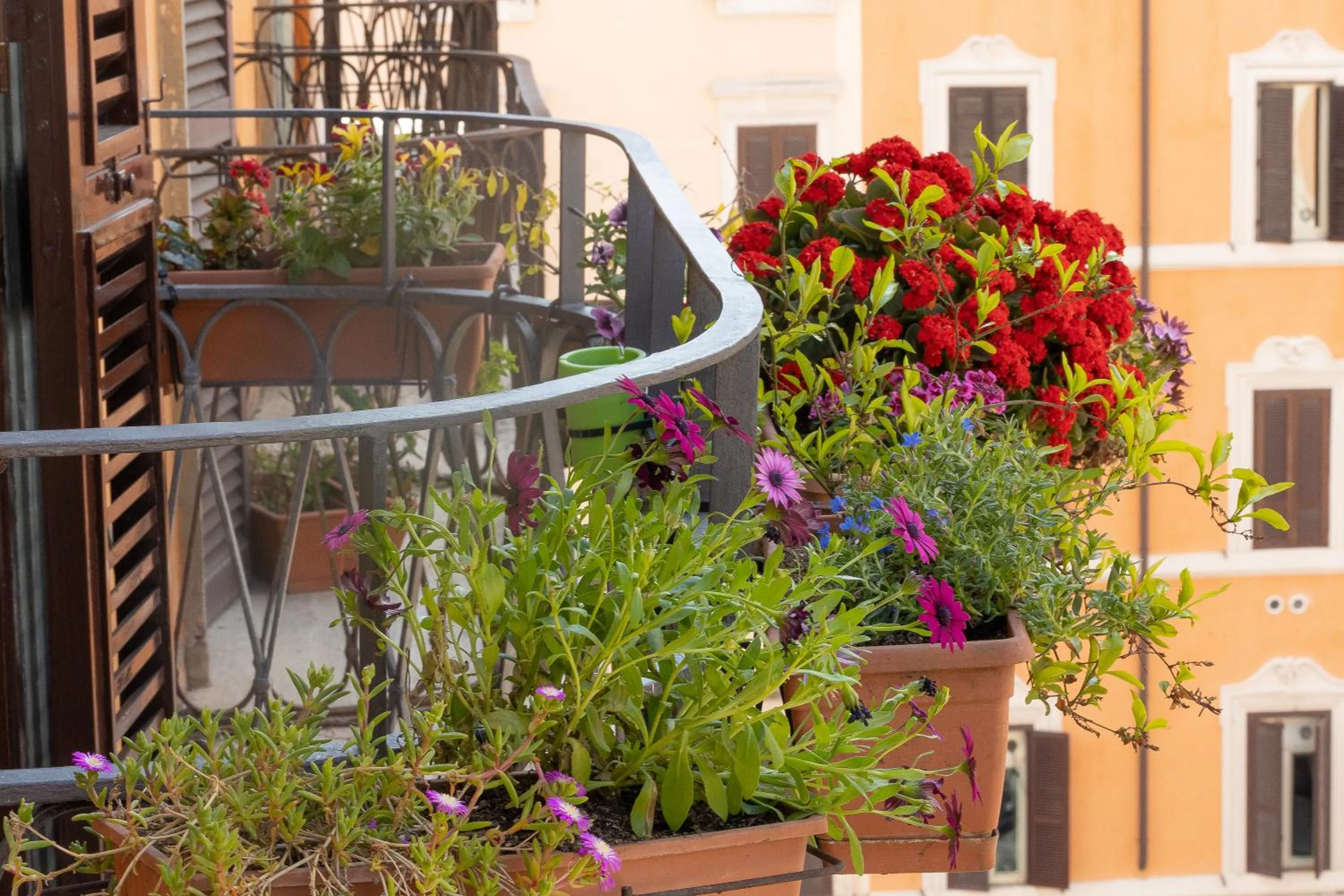 Balcony/Terrace in Rome To Stay