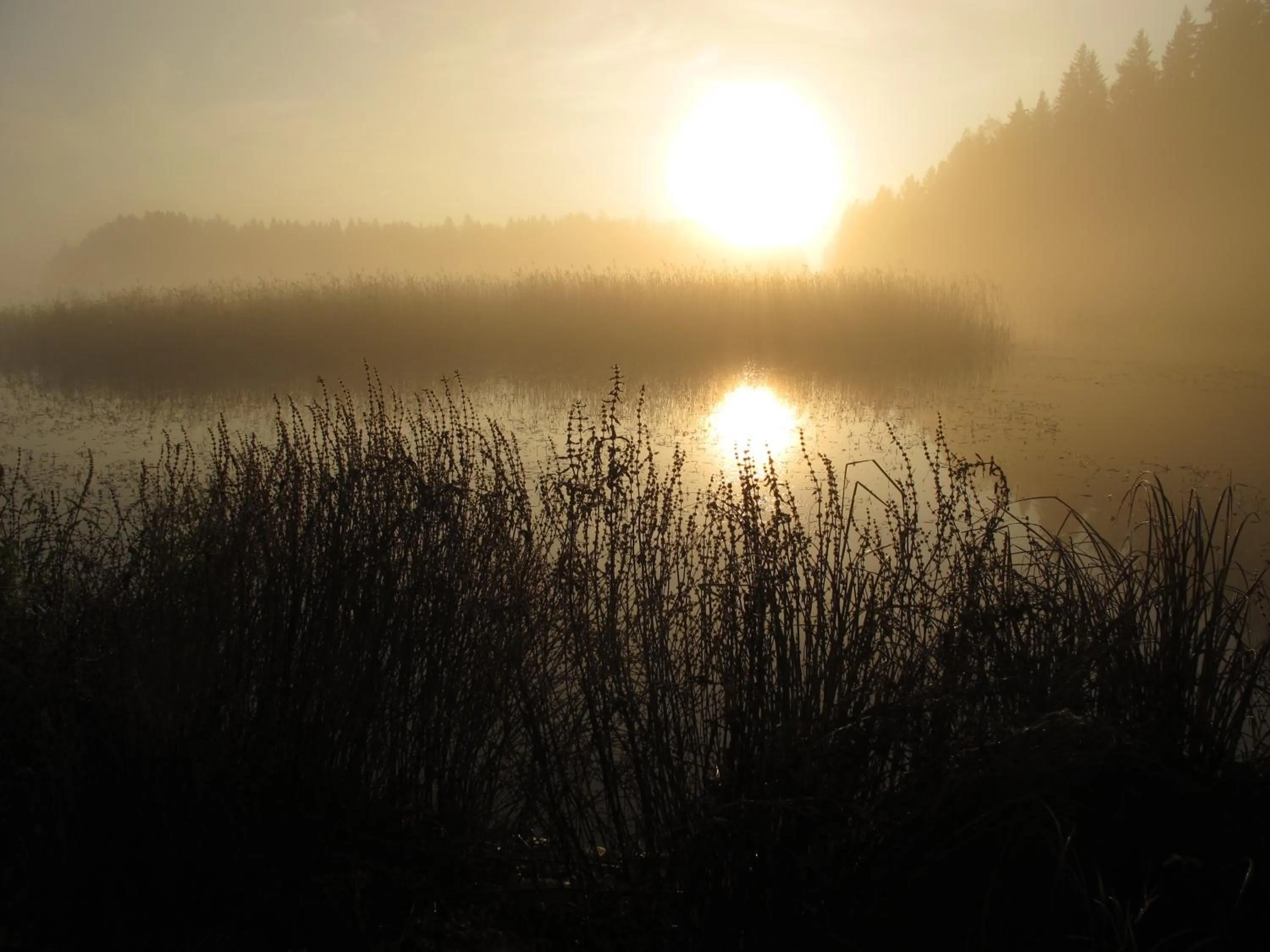 Off site in Lohja Spa & Resort