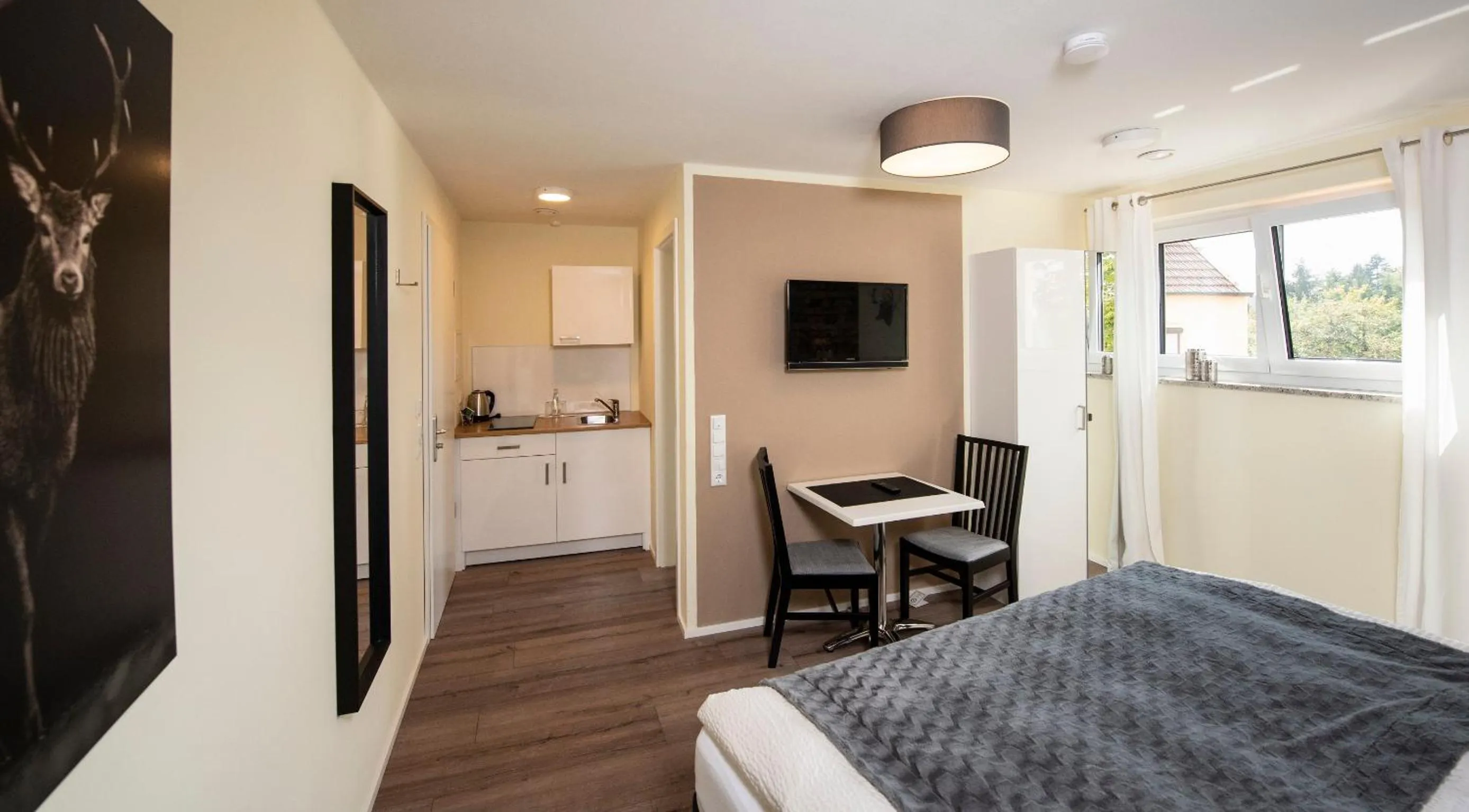 TV and multimedia, Bed in Landgasthof zur Sonne