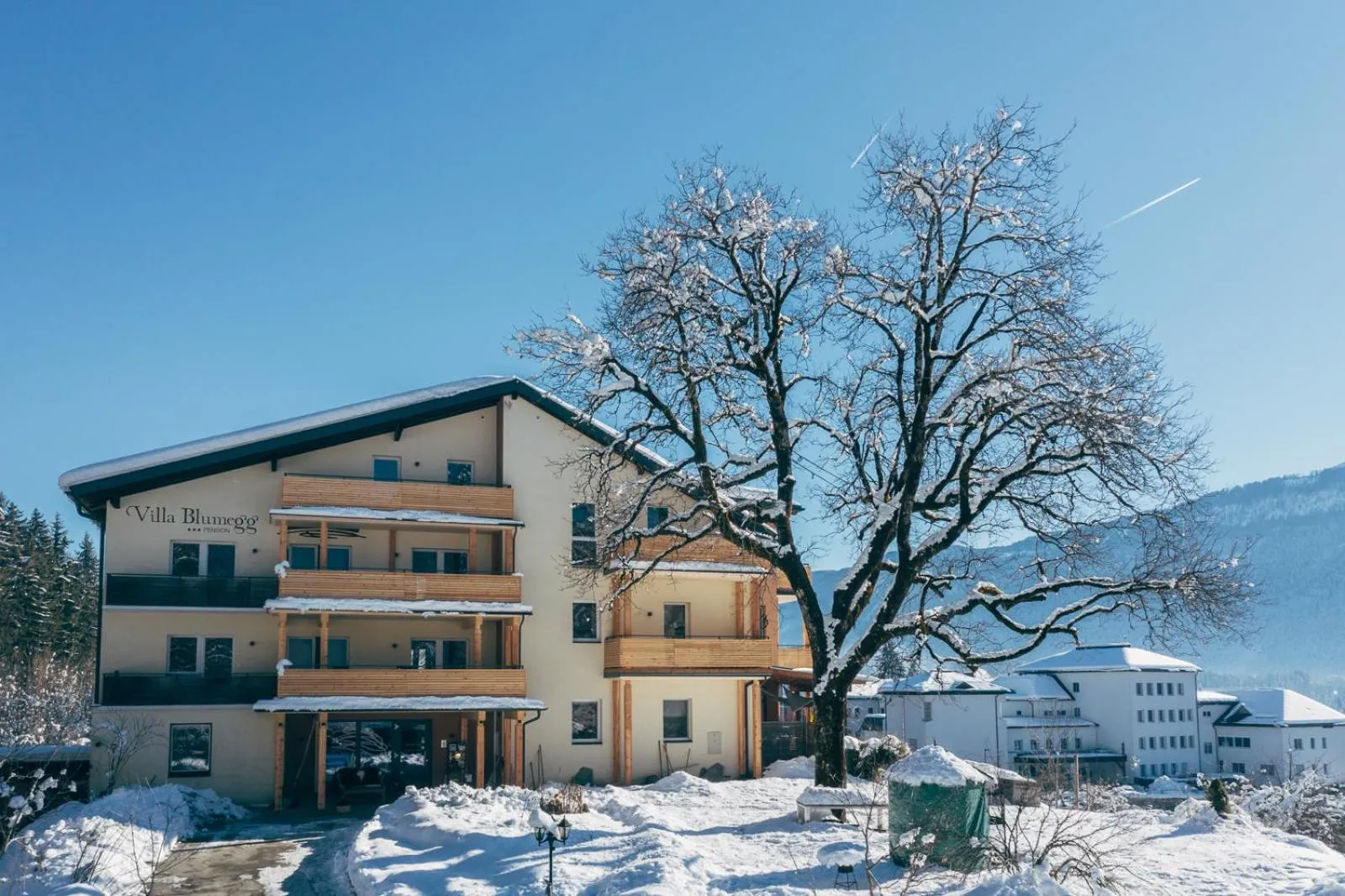 Property building in Villa Blumegg