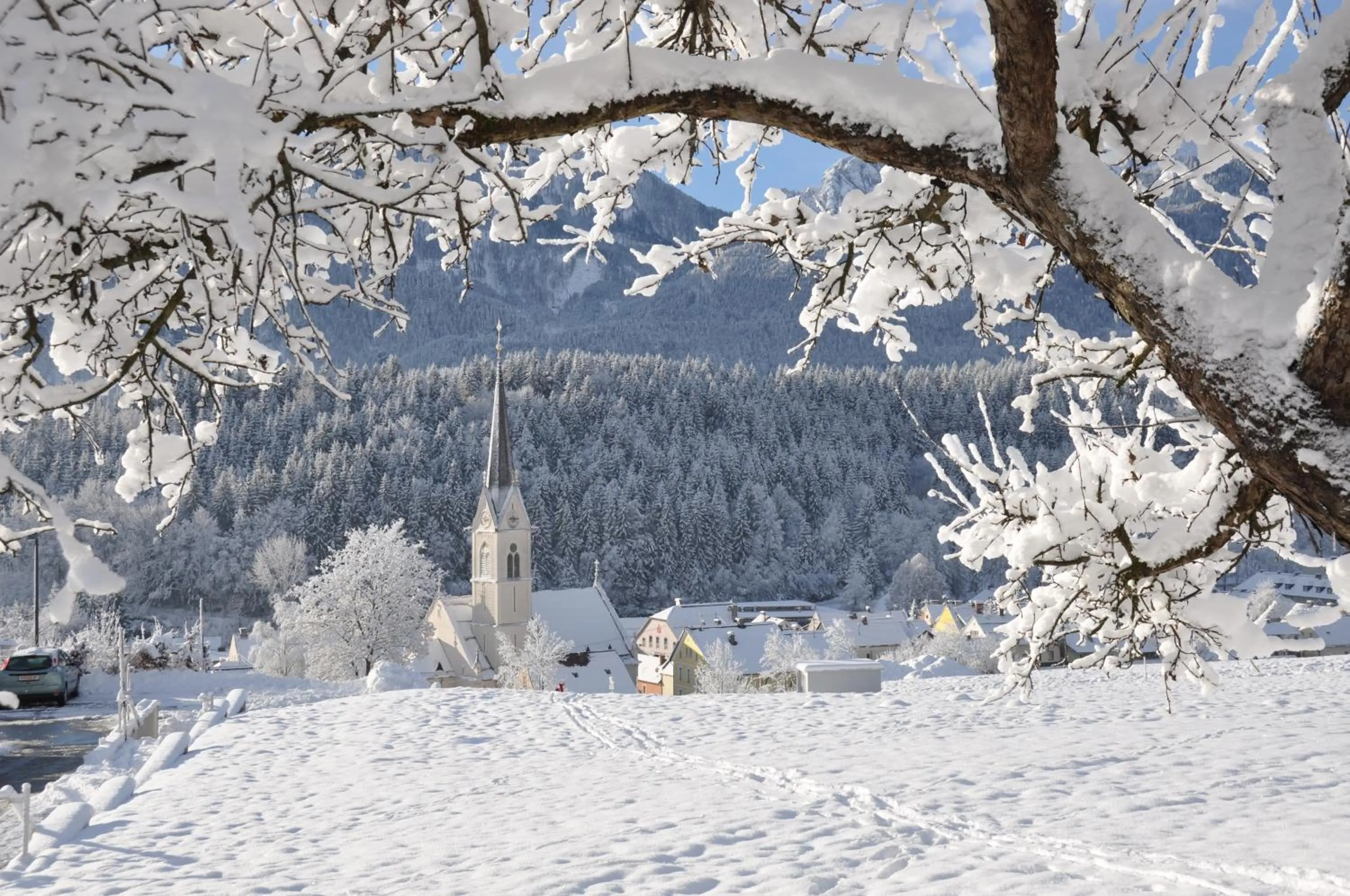 Area and facilities in Villa Blumegg