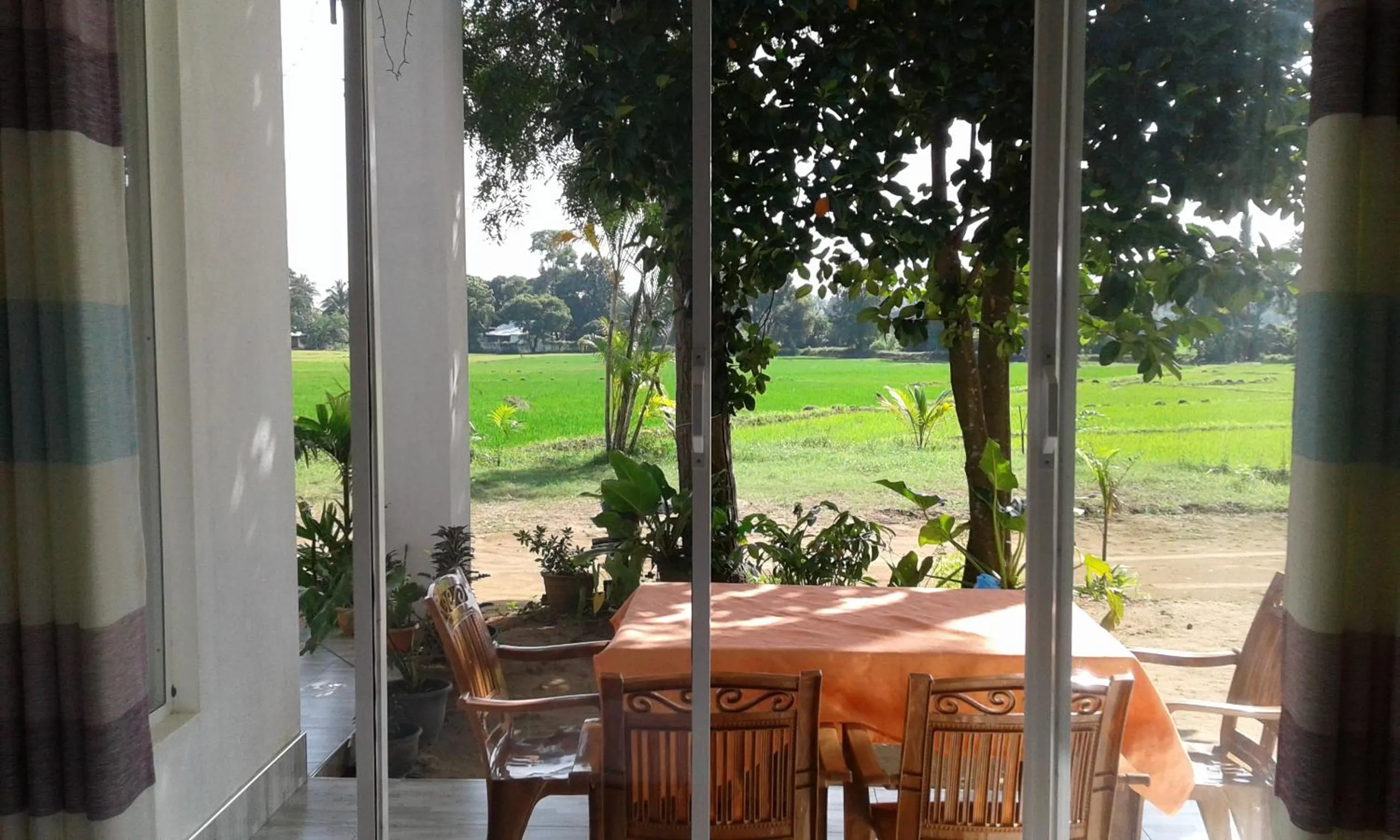 Garden view in Risenlak Holiday Resort