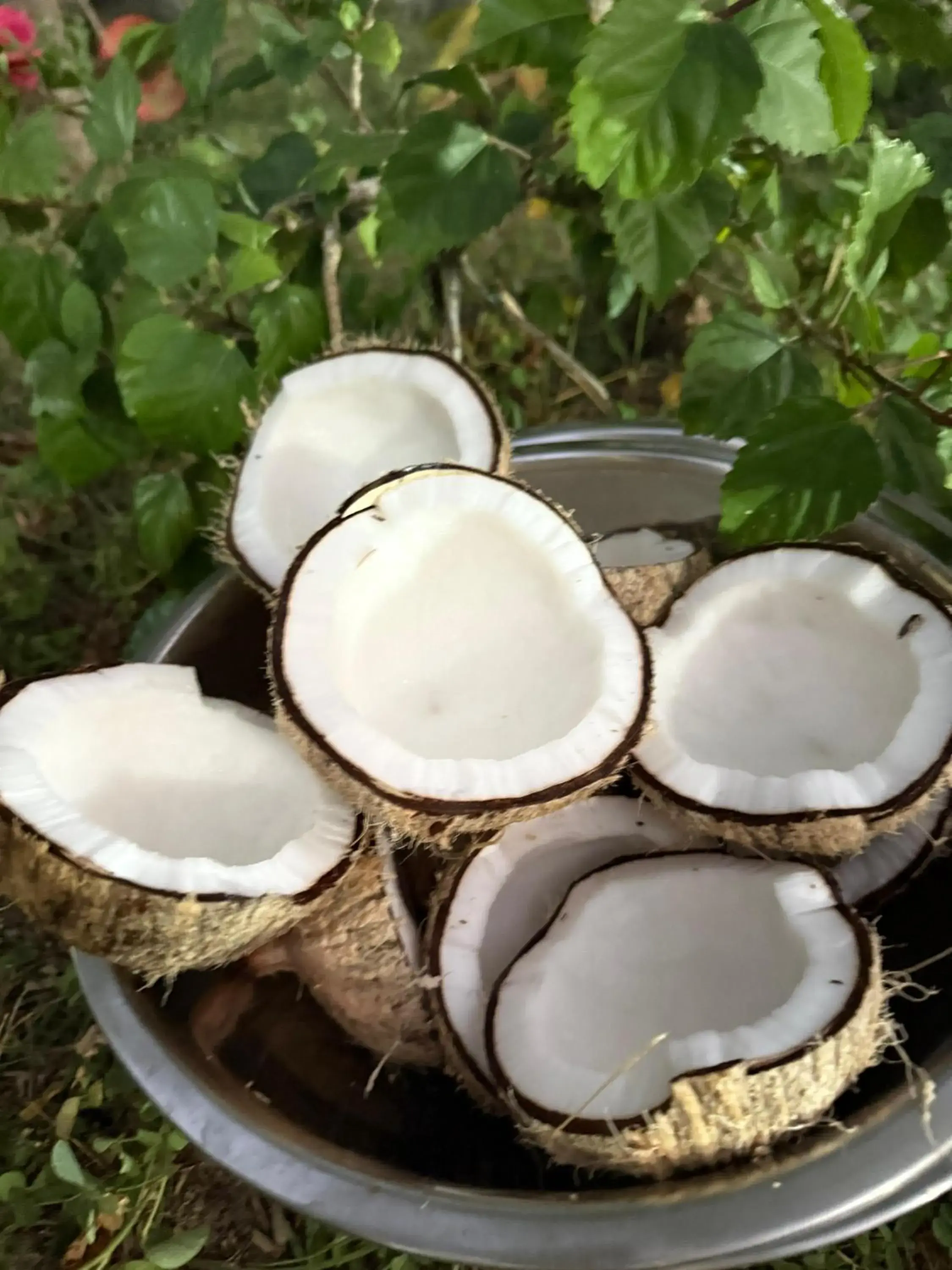 Breakfast in Pousada Império do Sol Breakfast in Pousada Império do Sol