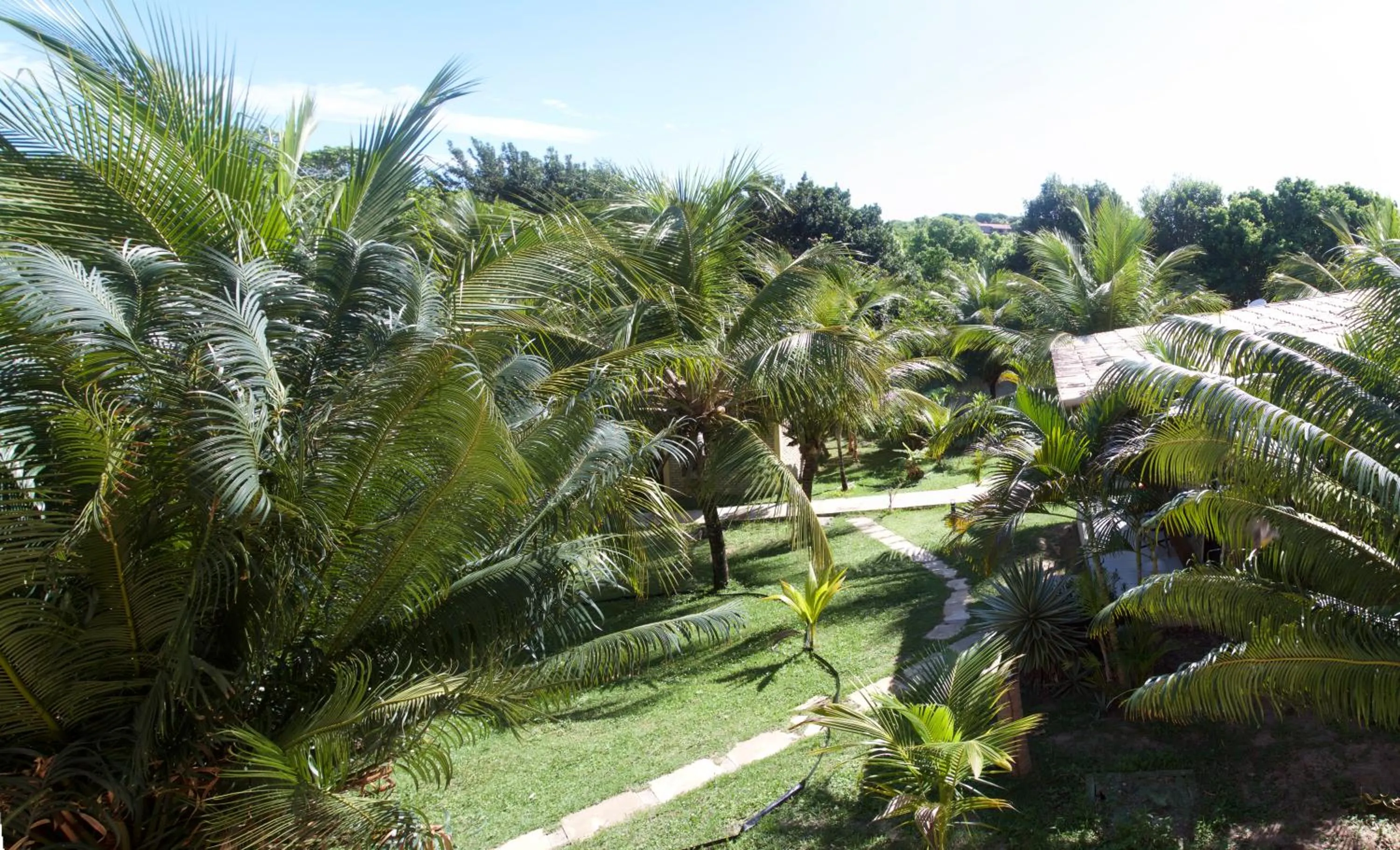 Garden view in Pousada Império do Sol