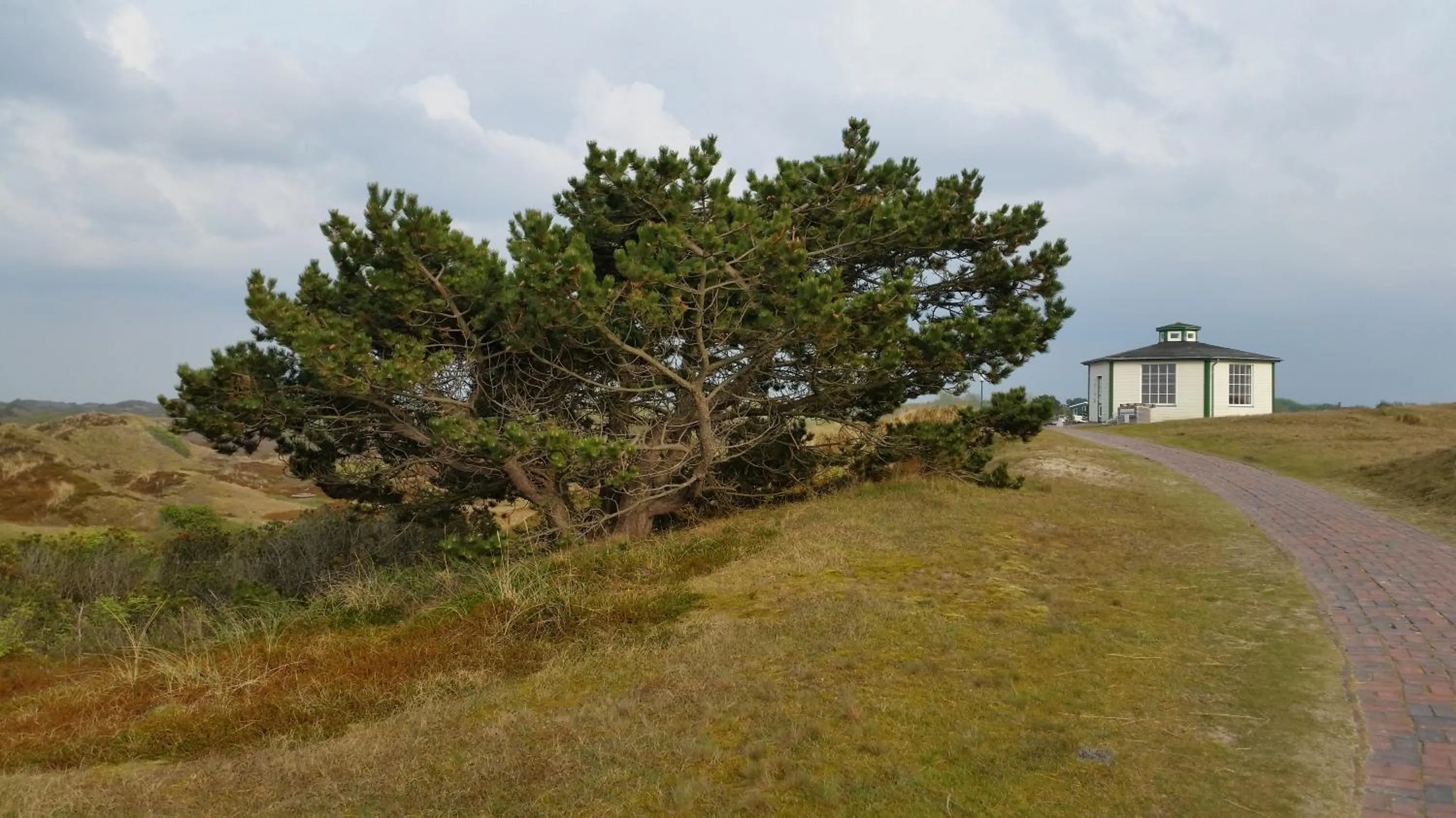 Off site in Spiekerooger Leidenschaft