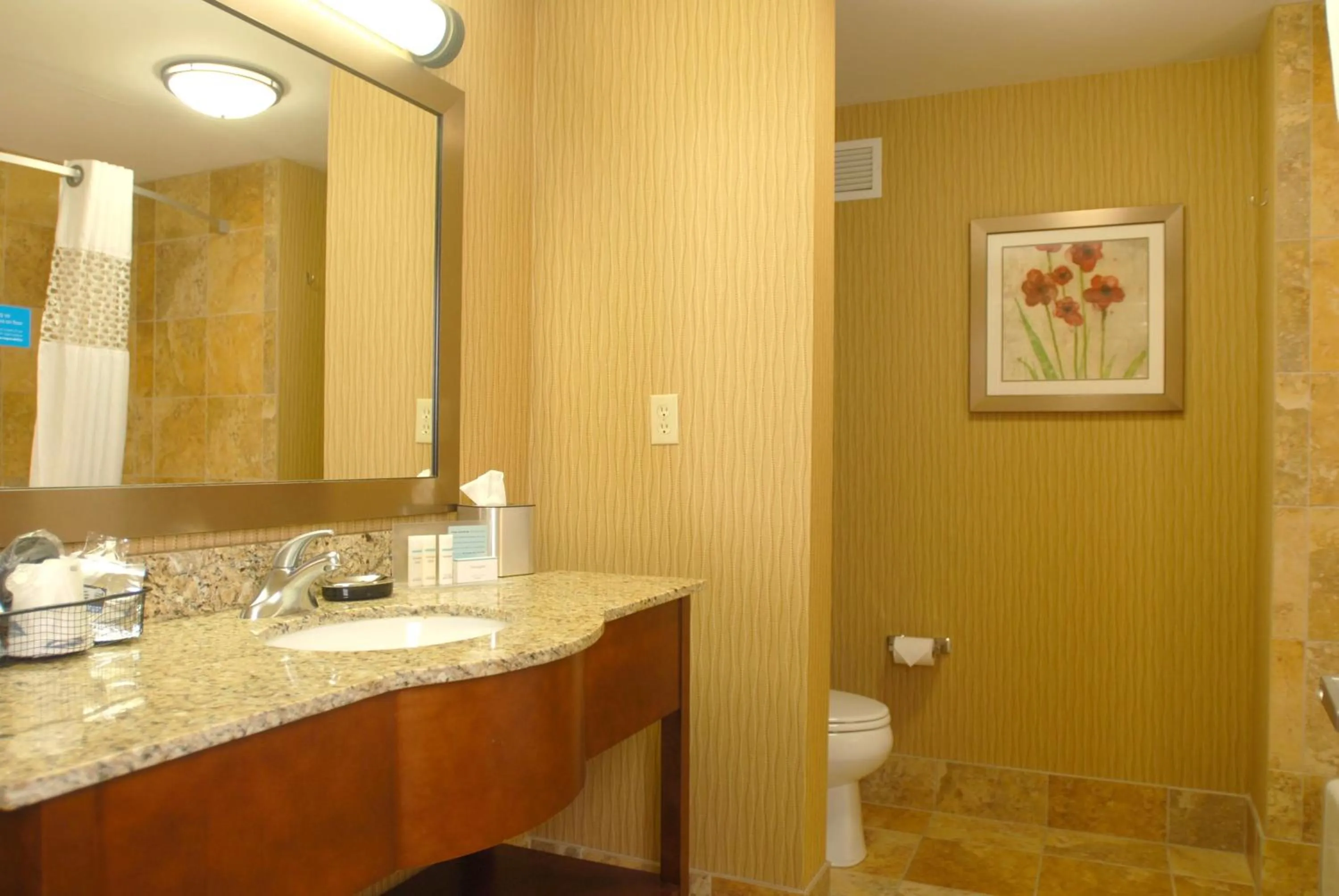 Bathroom in Hampton Inn Tomah