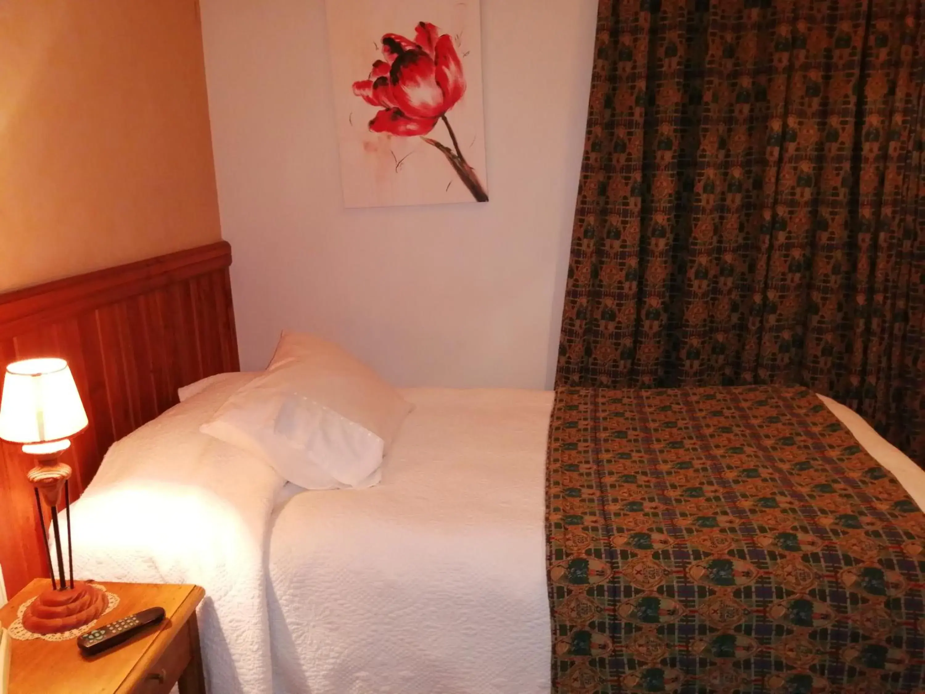 Single Room - single occupancy in Posada Selva Negra Single Room - single occupancy in Posada Selva Negra