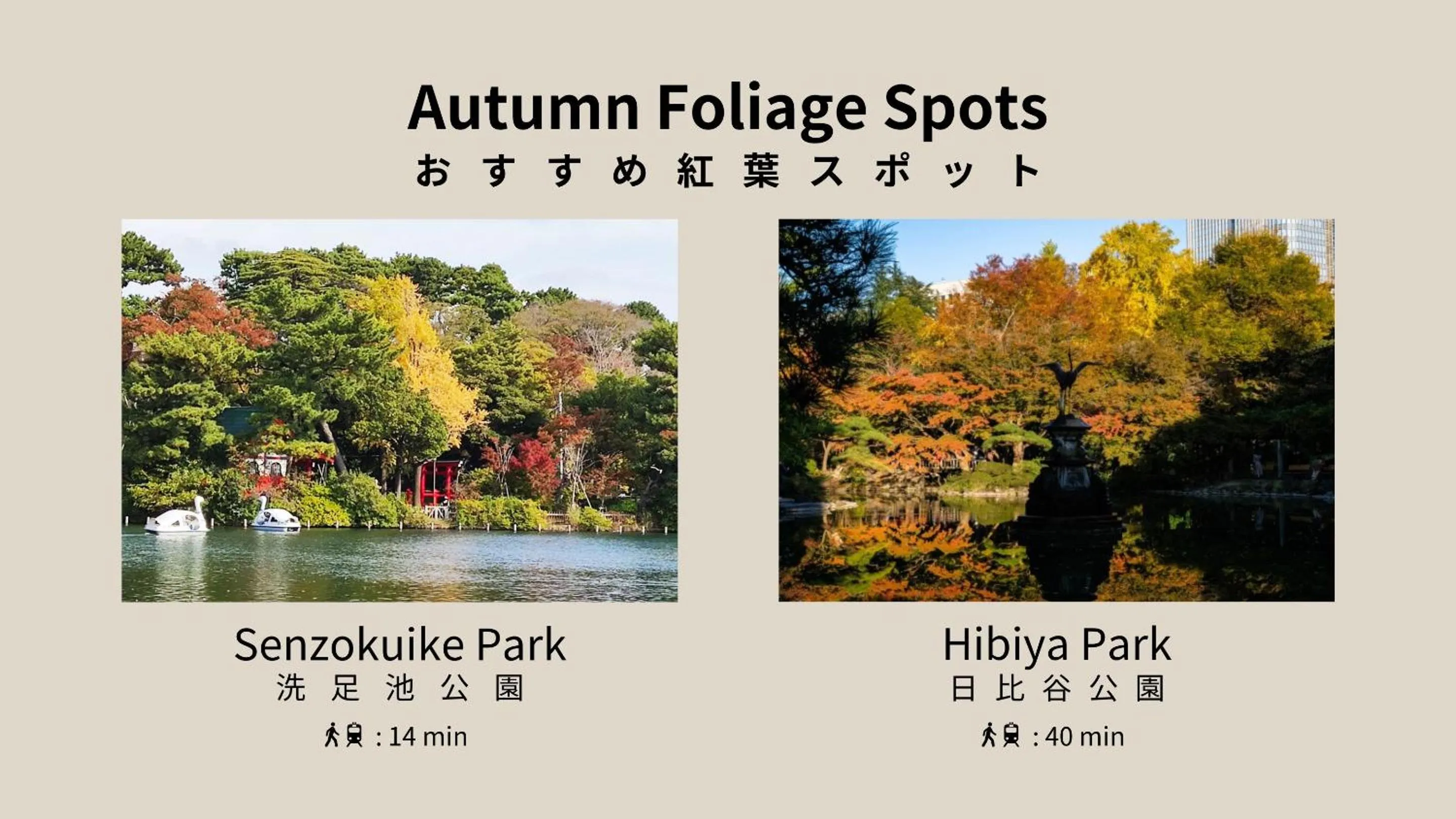 Nearby landmark in Voga Corte Chidoricho