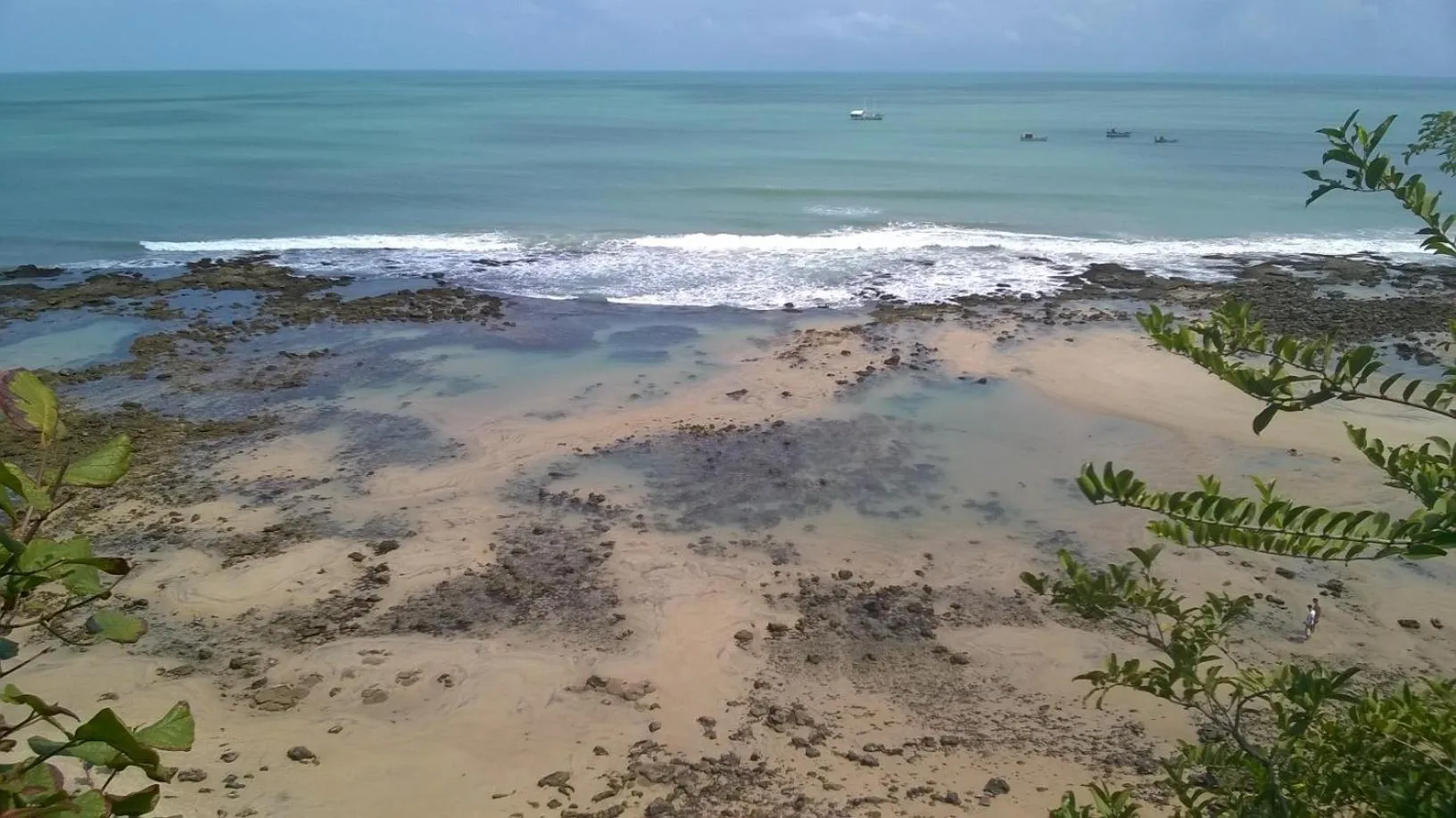 Natural landscape in Pousada Marajoara - Pipa