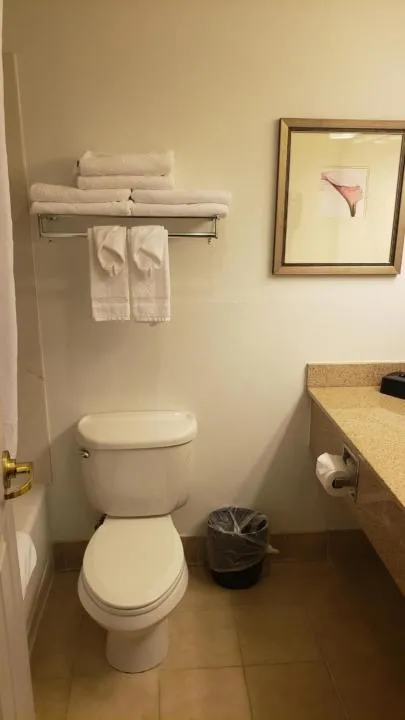 One-Bedroom King Suite in Country Inn & Suites by Radisson, Manchester Airport, NH