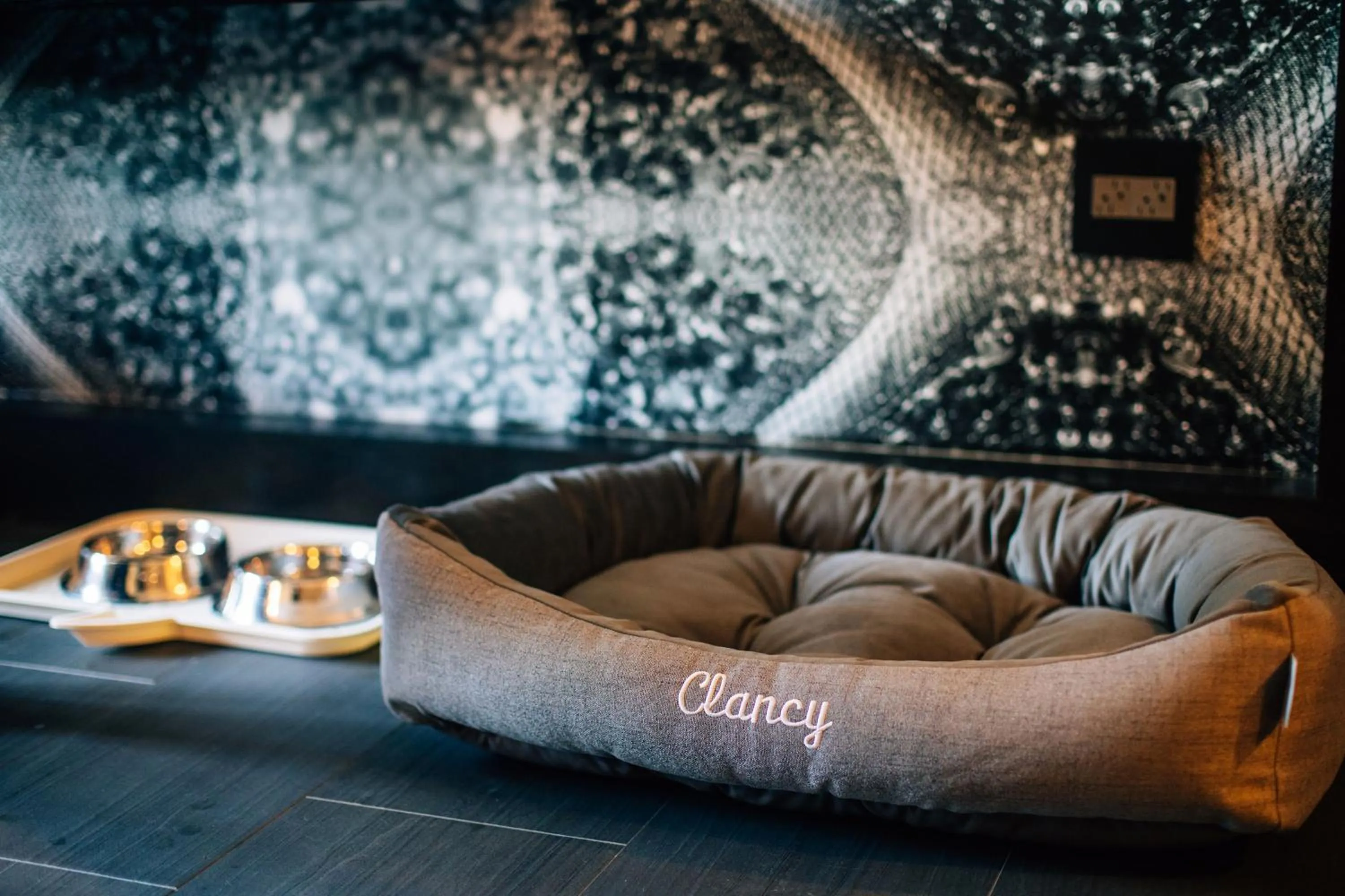 Animals in The Clancy, Autograph Collection