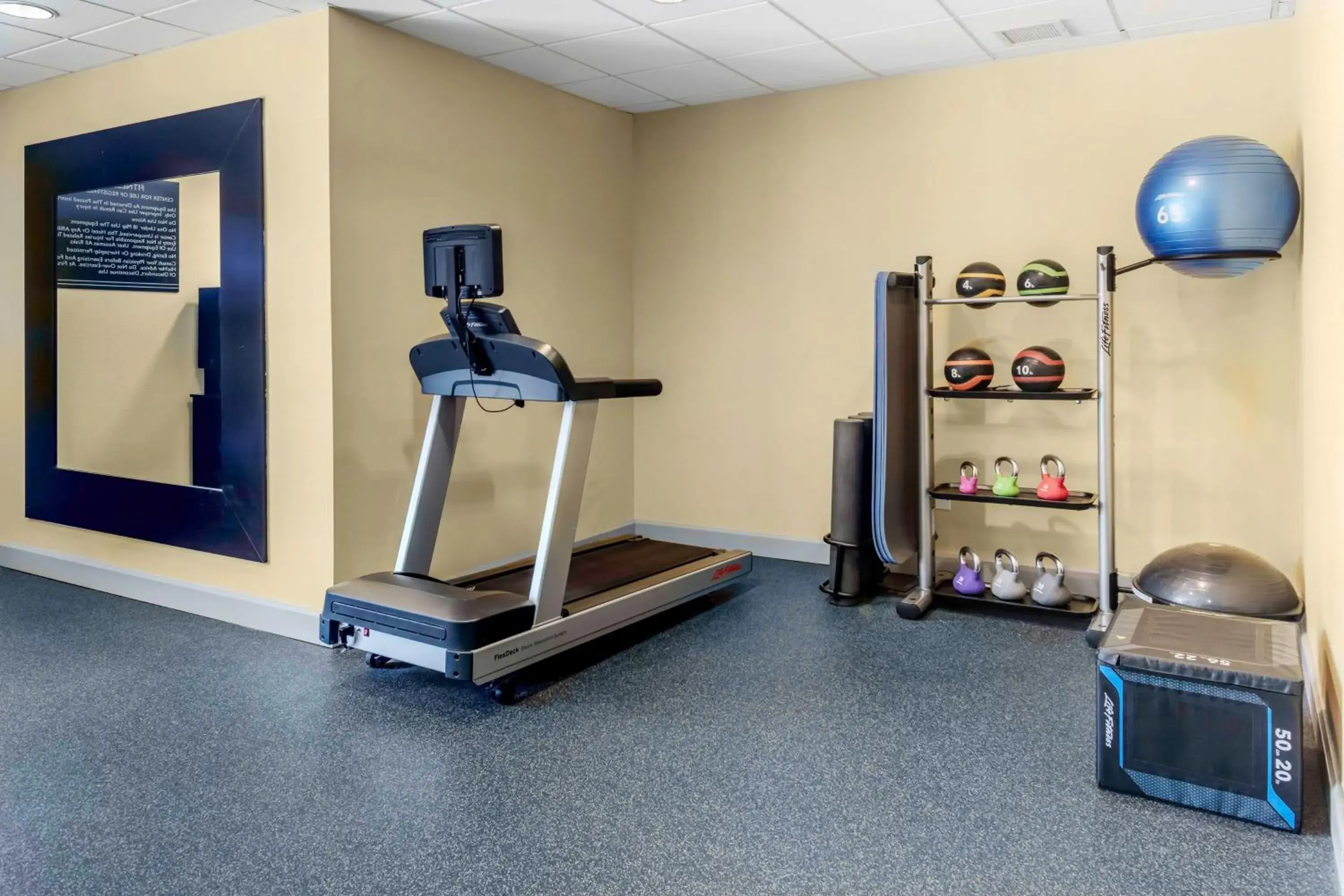 Fitness centre/facilities in Hilton Garden Inn Sarasota-Bradenton Airport Fitness centre/facilities in Hilton Garden Inn Sarasota-Bradenton Airport