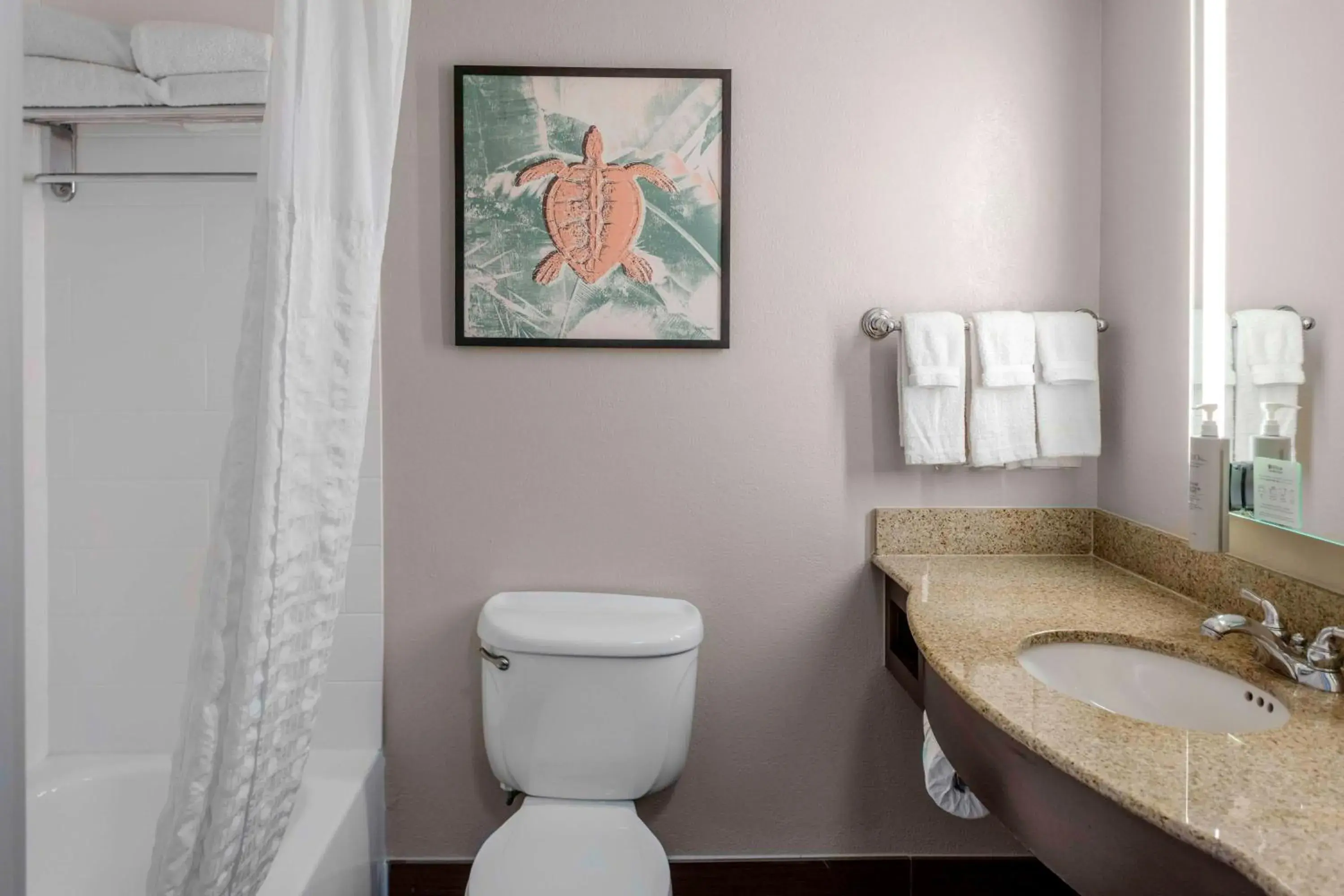 King Room - Hearing Access in Hilton Garden Inn Sarasota-Bradenton Airport King Room - Hearing Access in Hilton Garden Inn Sarasota-Bradenton Airport