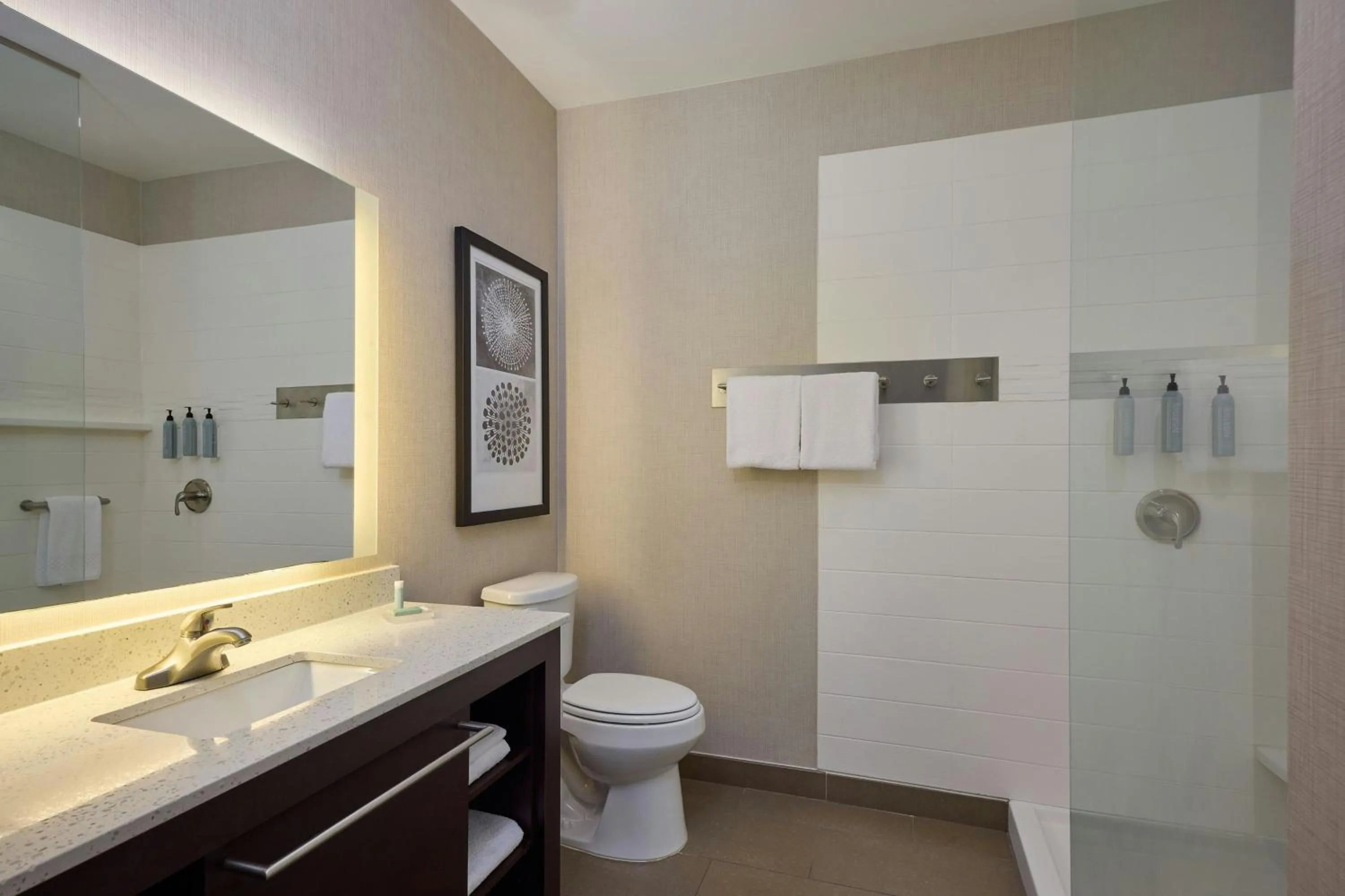 Bathroom in Residence Inn by Marriott Denver Southwest/Littleton