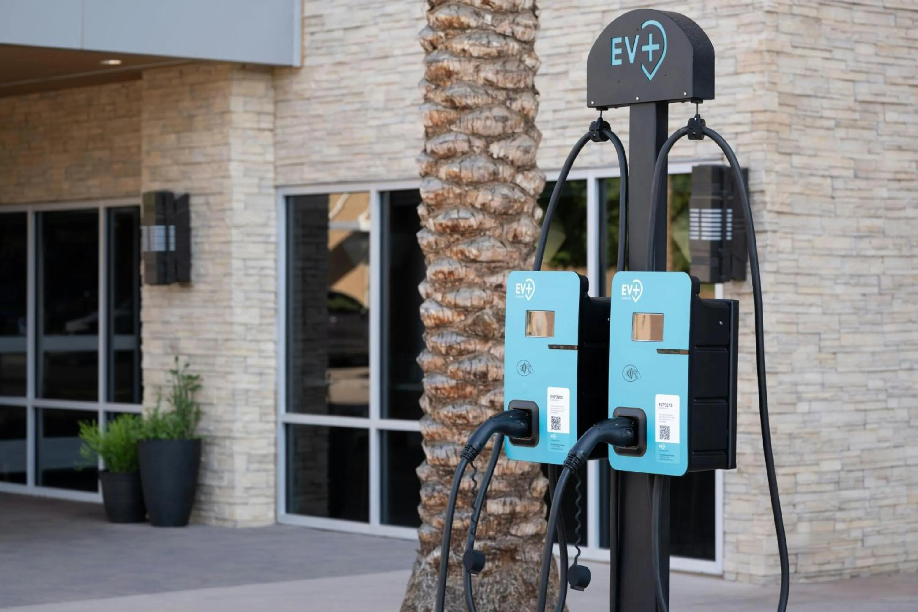 Other in TownePlace Suites by Marriott Phoenix Chandler/Fashion Center