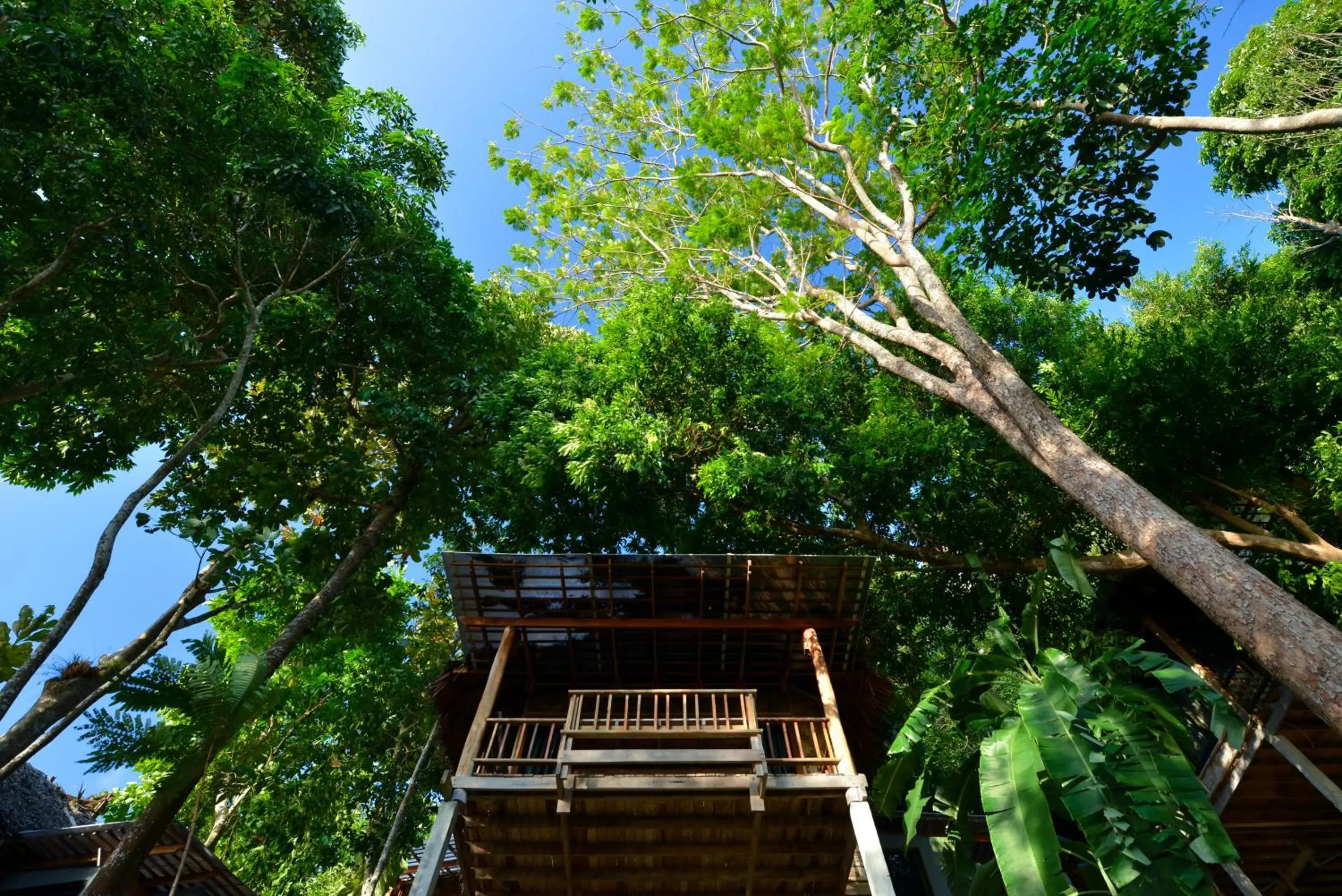 Balcony/Terrace in Railay Great View Resort Balcony/Terrace in Railay Great View Resort