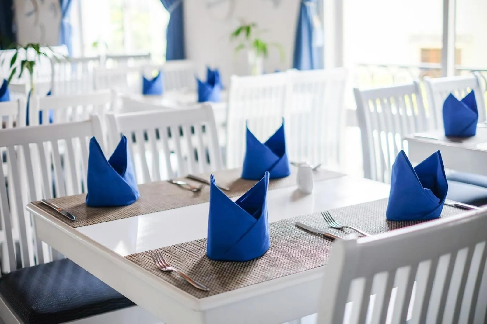 Restaurant/places to eat in Alba Spa Hotel