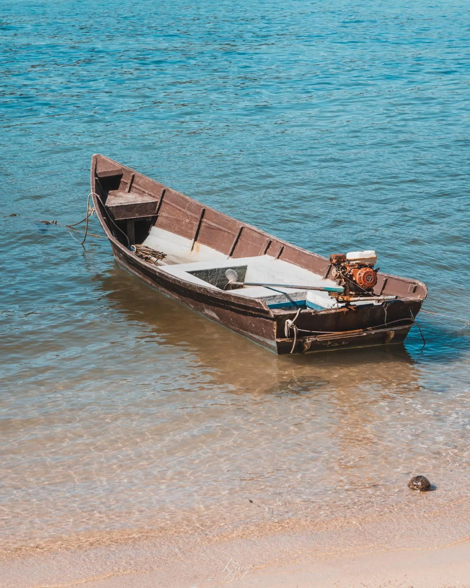 Day in Sensi Paradise Beach Resort