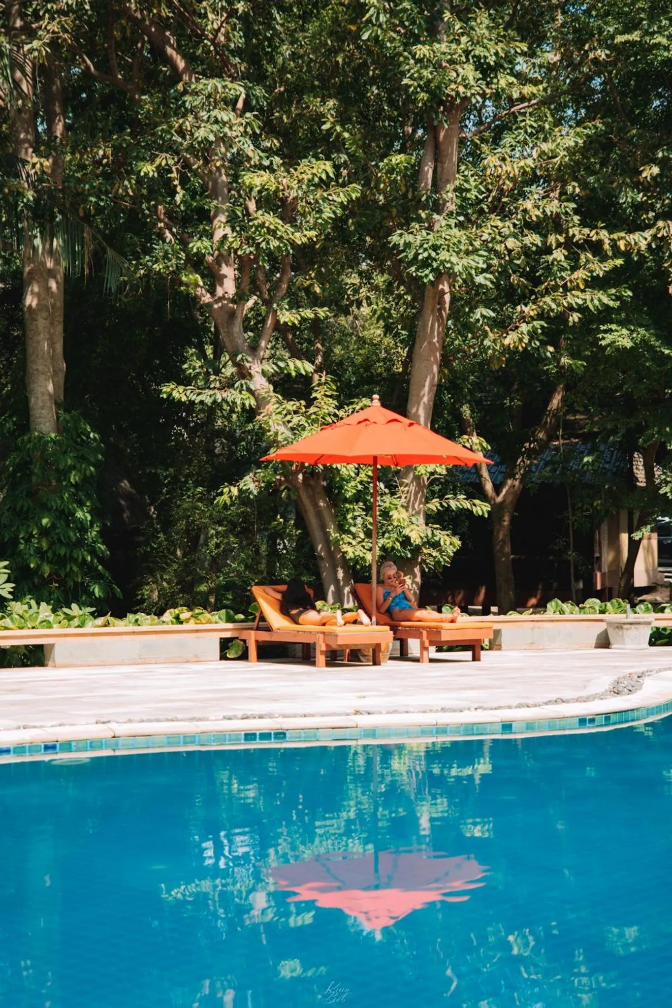 Pool view in Sensi Paradise Beach Resort