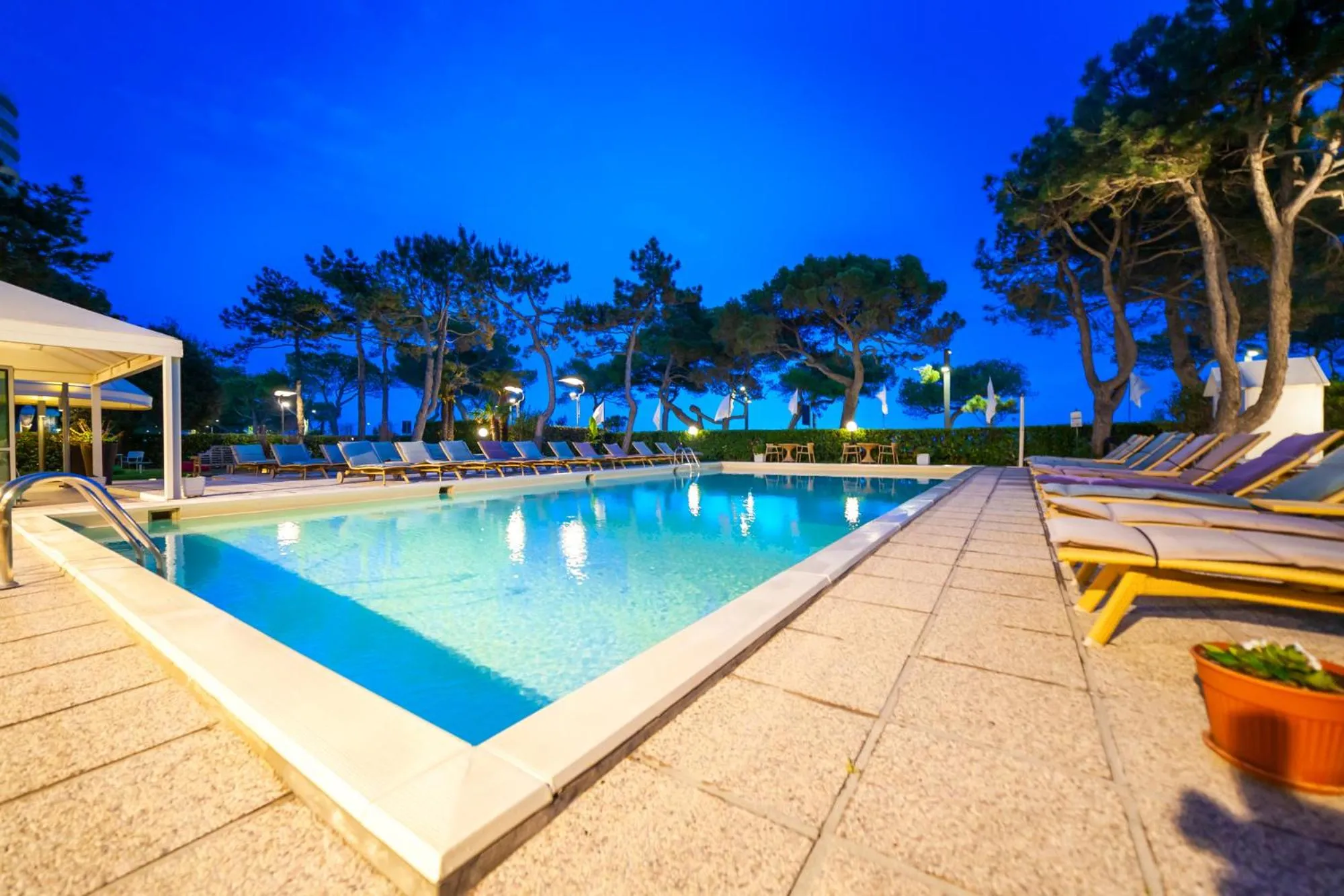 Swimming pool in Hotel American