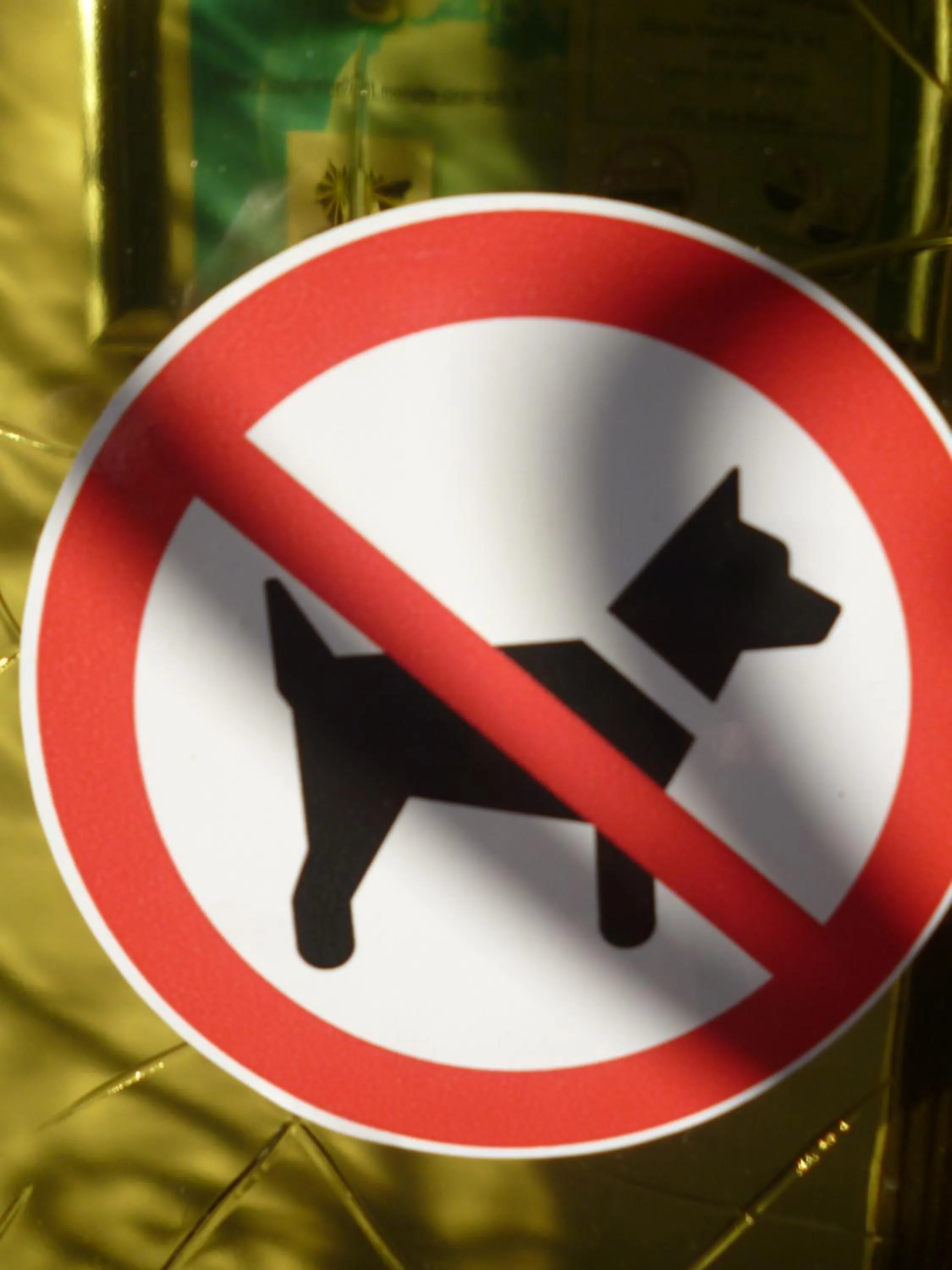 Animals in La Sylreine